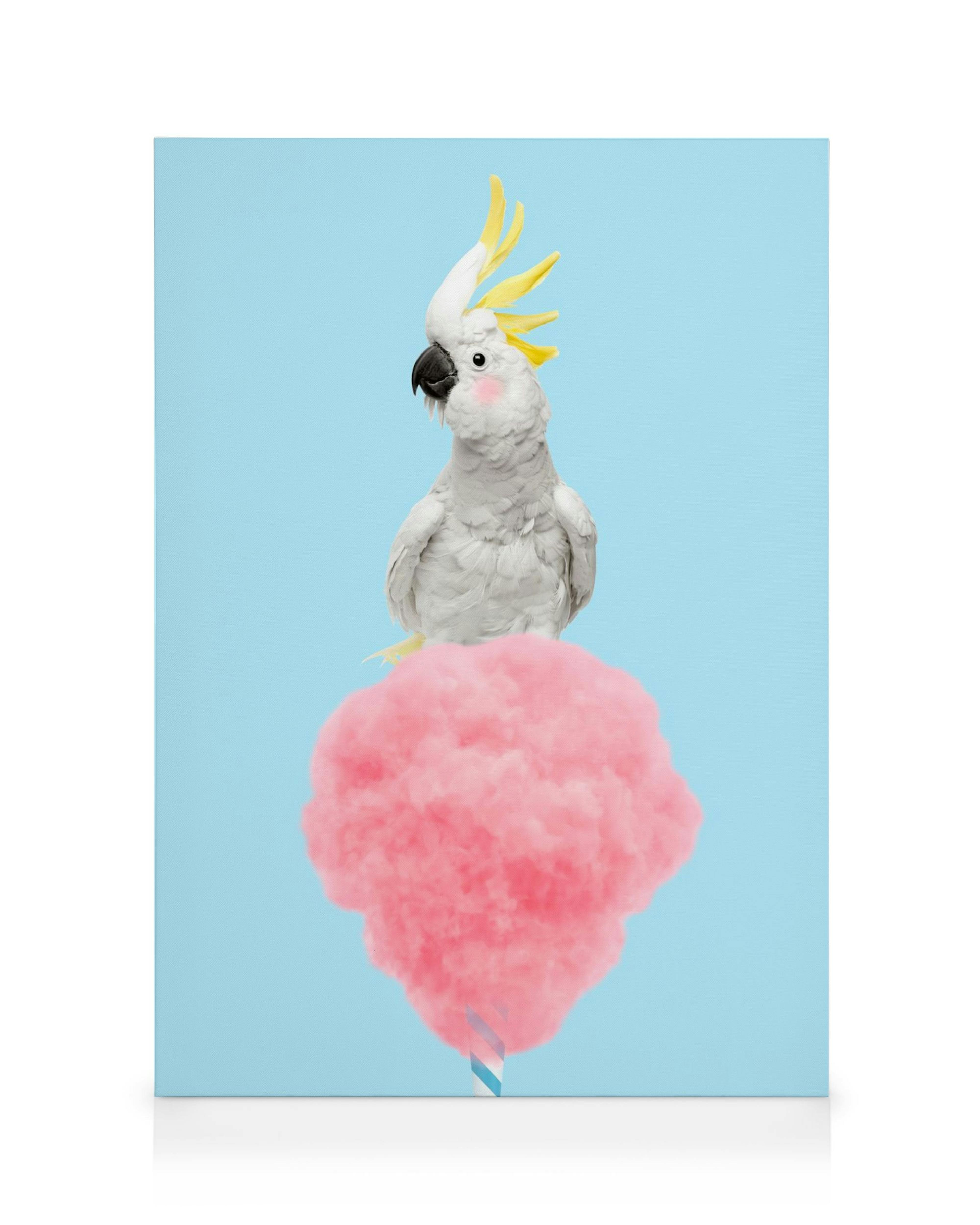 Toile avec un cacatoès blanc aux joues roses, coiffé de jaune, assis sur un nuage de barbe à papa rose sur fond bleu clair. Déco