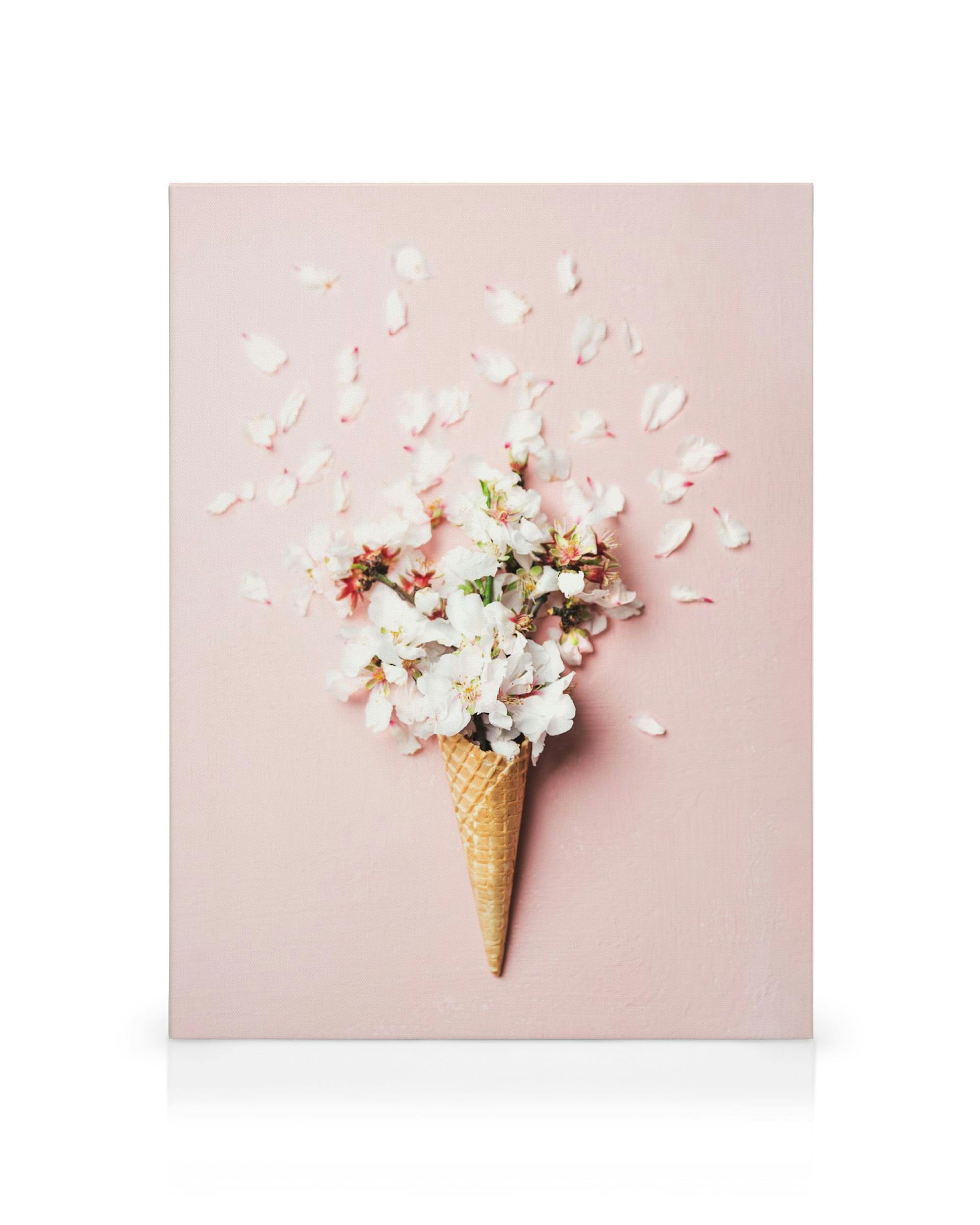 Ροζ καμβάς με χωνάκι παγωτού γεμάτο λευκά άνθη και πέταλα λουλουδιών.