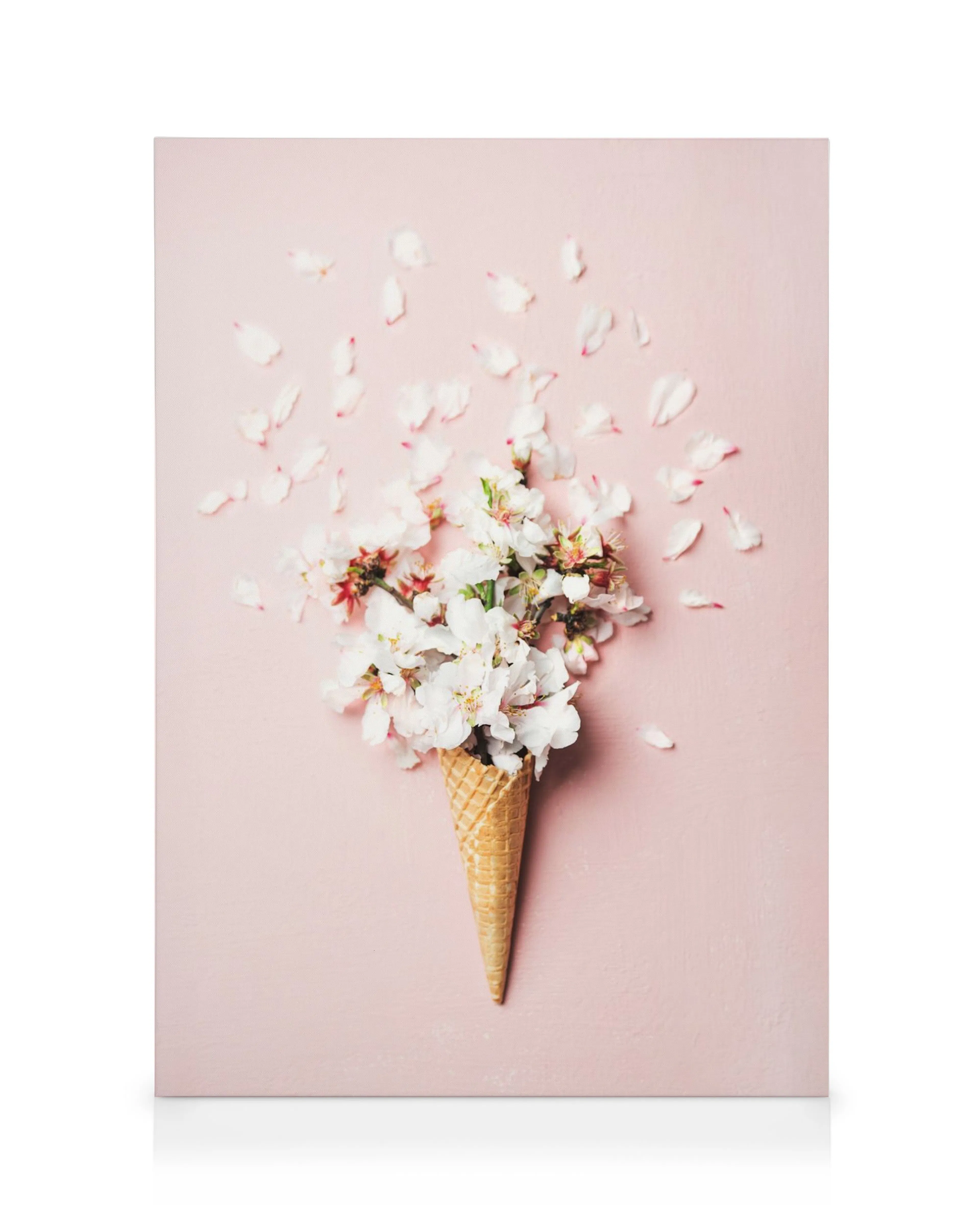 Witte bloemen in ijshoorntje op roze canvas met verspreide bloemblaadjes, als smeltende bloemen.
