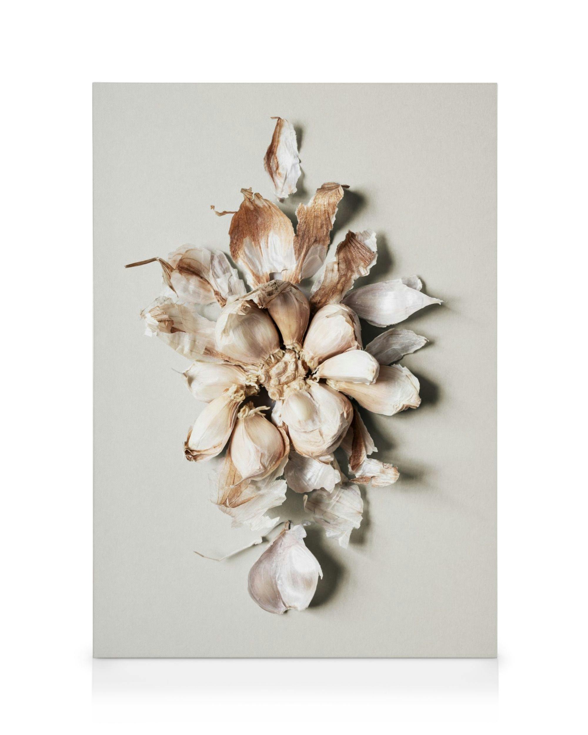 Canvas Prints Flower of Garlic Canvas print (30x40 cm - Black Frame)