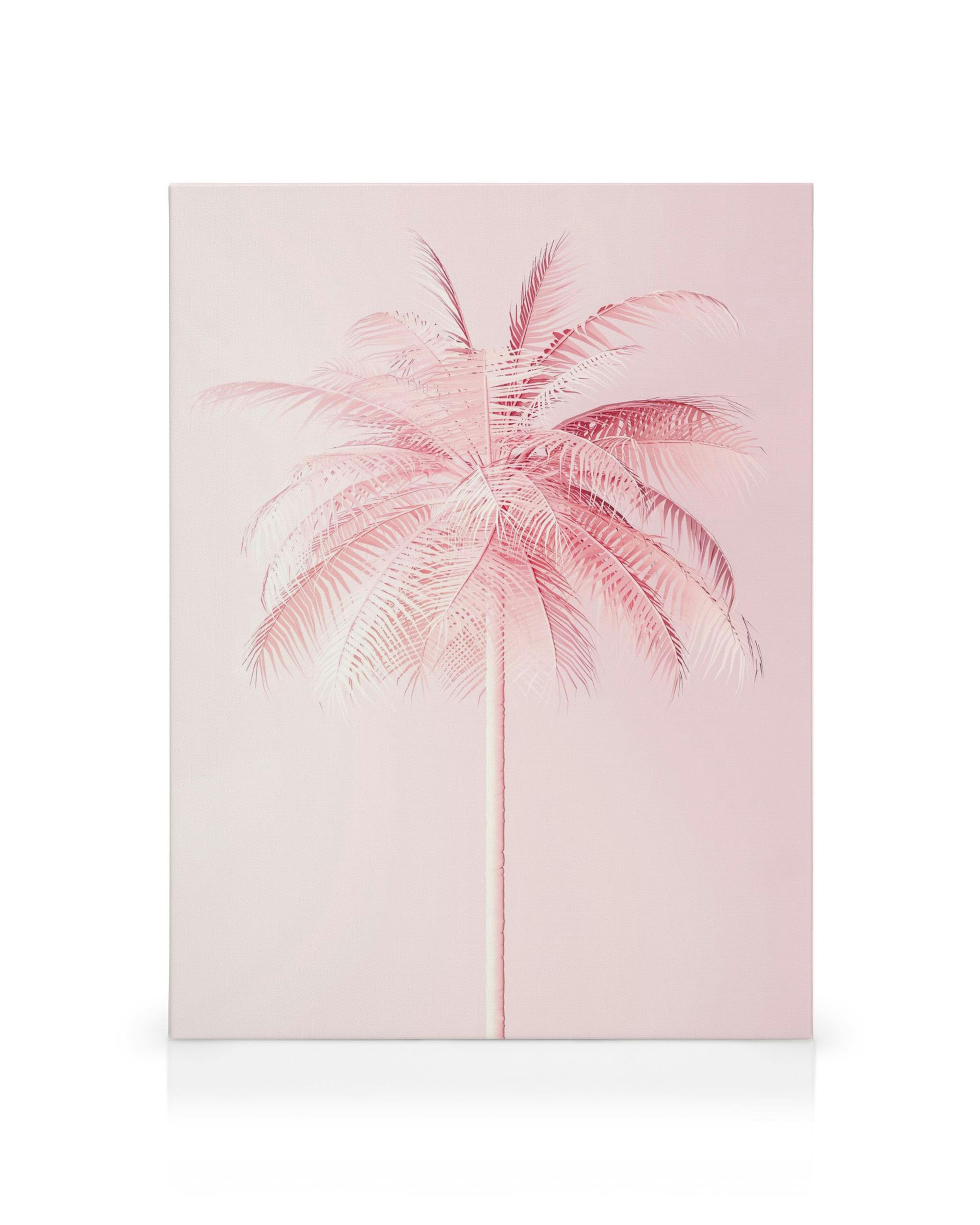 Pastel pink palm tree canvas print on a light pink background, tropical botanical wall art.