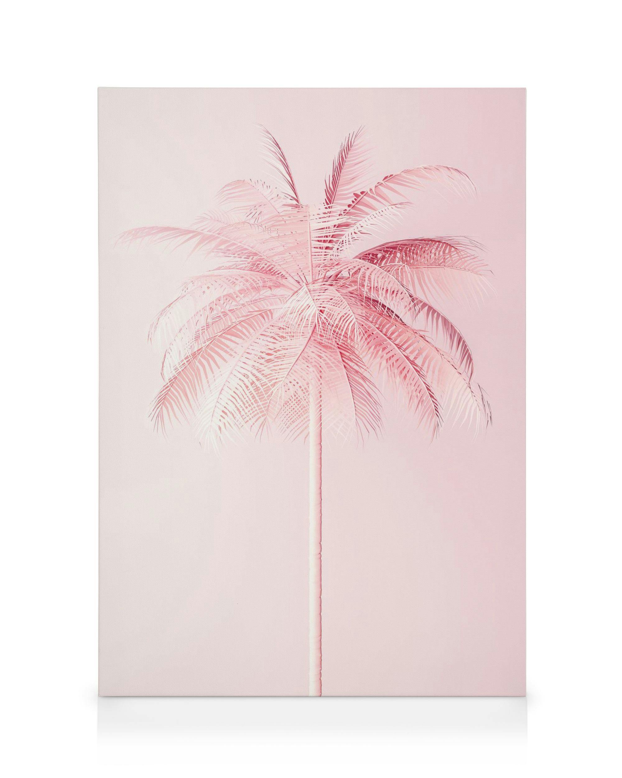 Canvas Prints Pastel Pink Palm Canvas print (50x70 cm - Oak Frame)