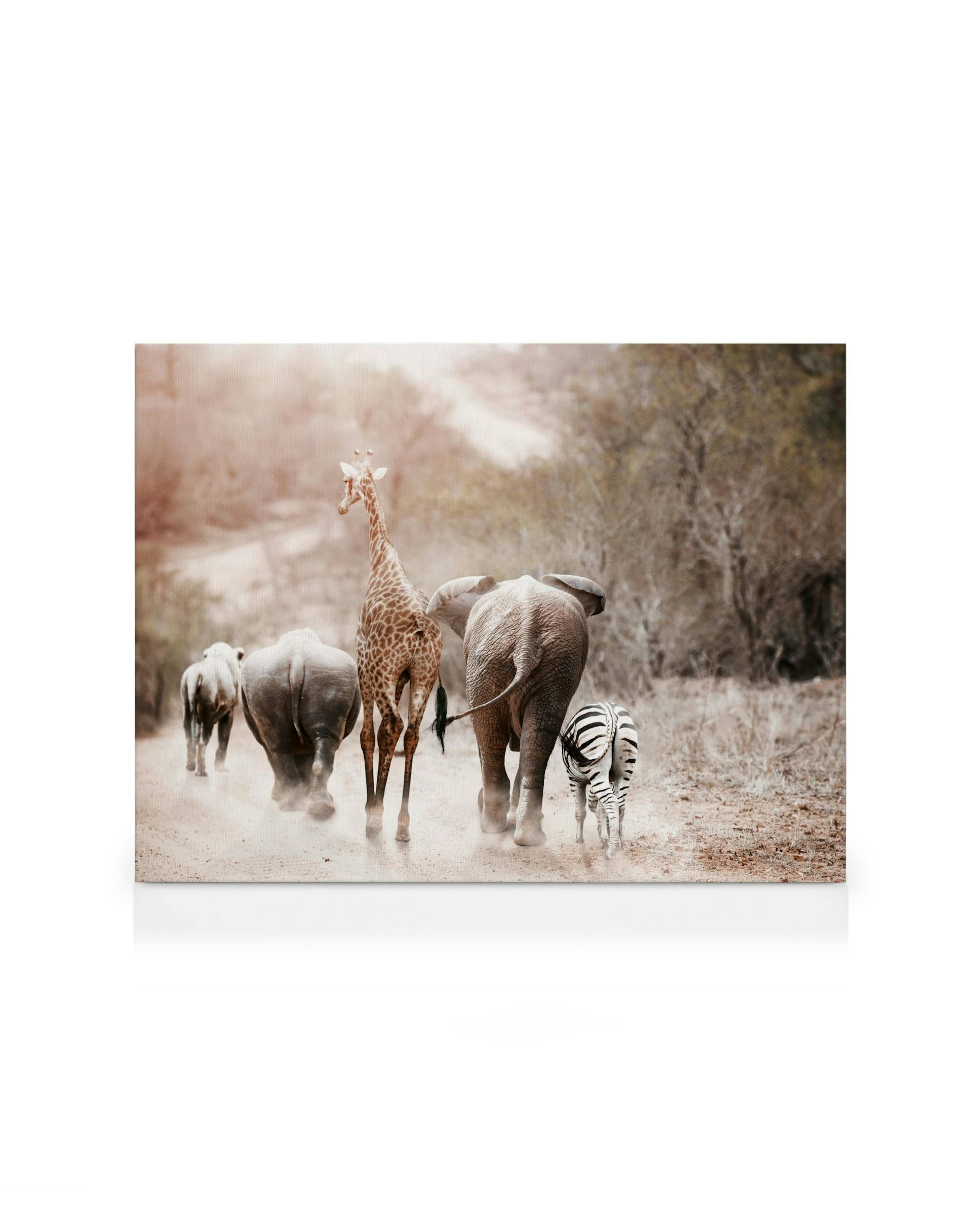 Safari animals, including rhinos, a giraffe, elephant, and zebra, walk away on a dusty road in sepia tones under a bright sky.