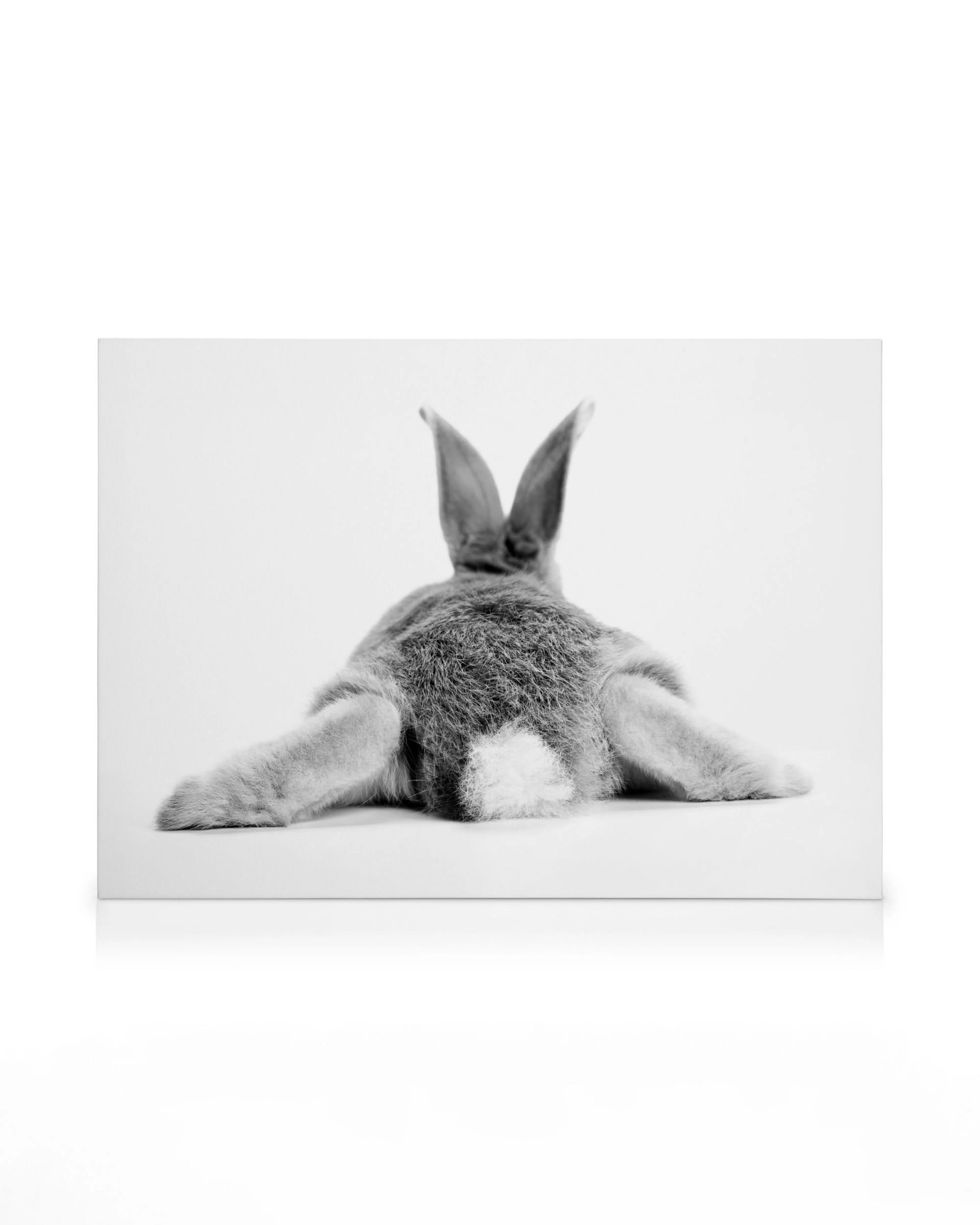 Black and white bunny from behind with long ears, fluffy tail, and fur texture, canvas print.