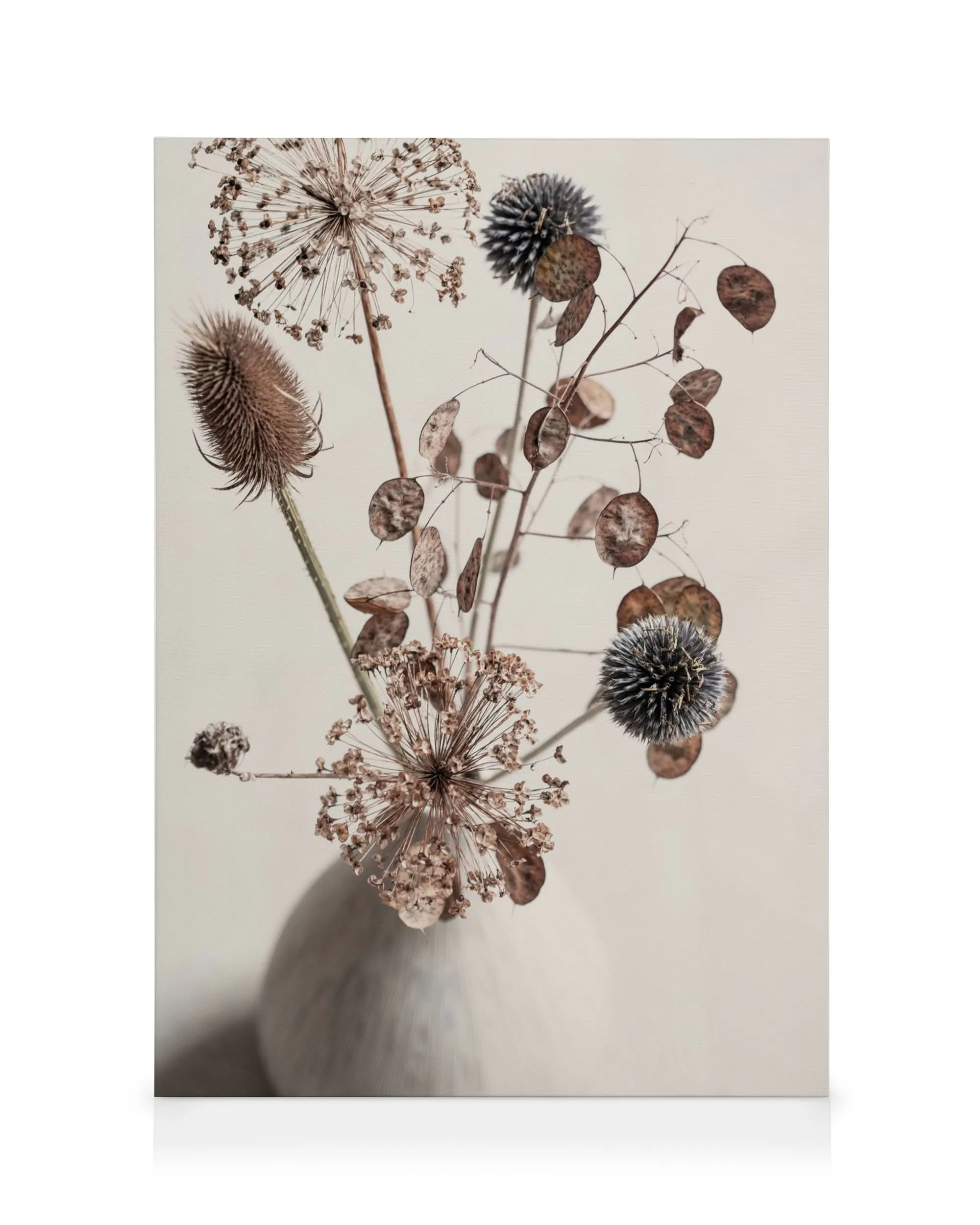 Lerret med tørkede blomster i vase, med runde frøhoder og spisse grener i brune og beige toner. Naturinspirert veggkunst.