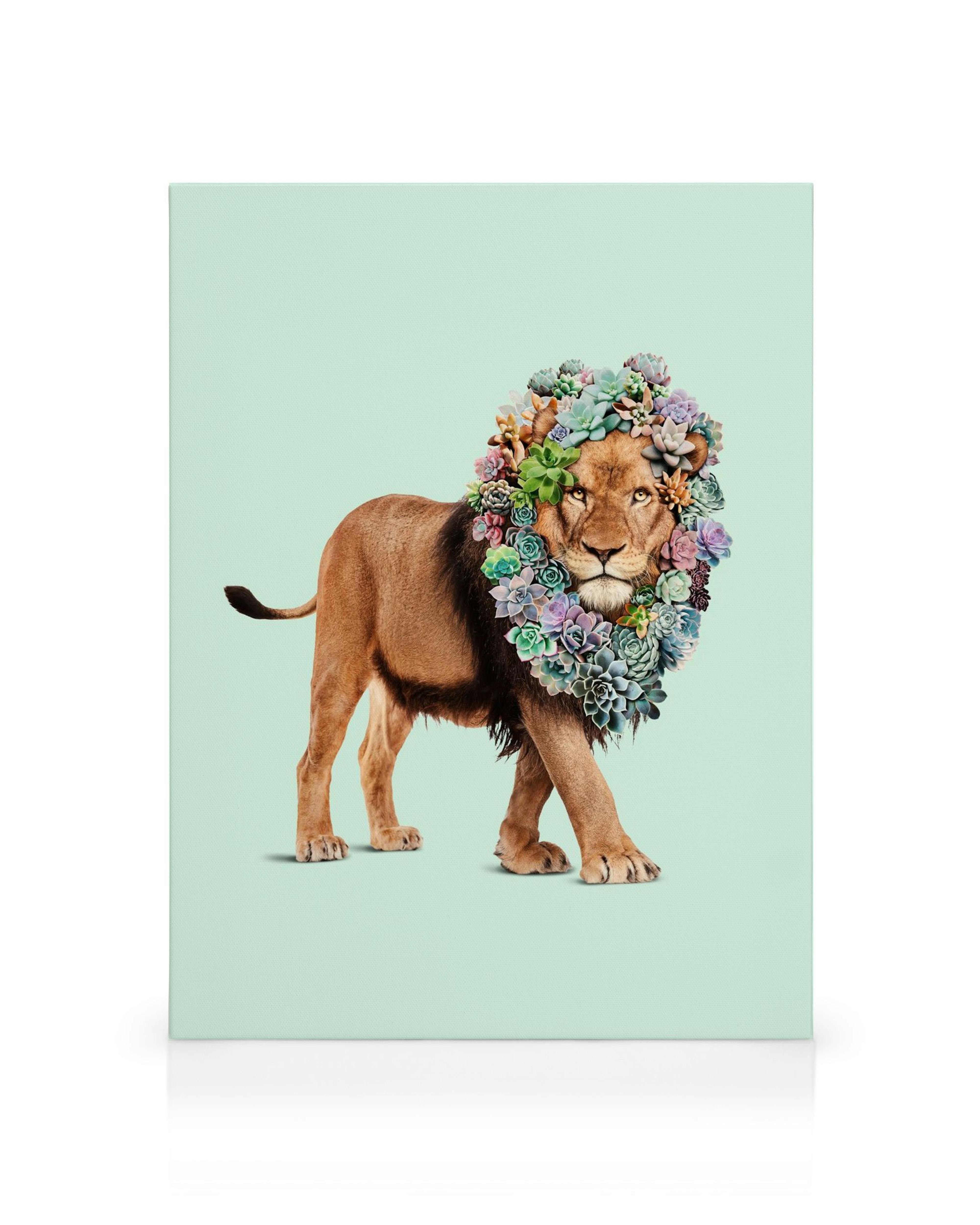 Canvas met speelse leeuw met weelderige manen van kleurrijke succulenten, op een lichtgroene achtergrond.