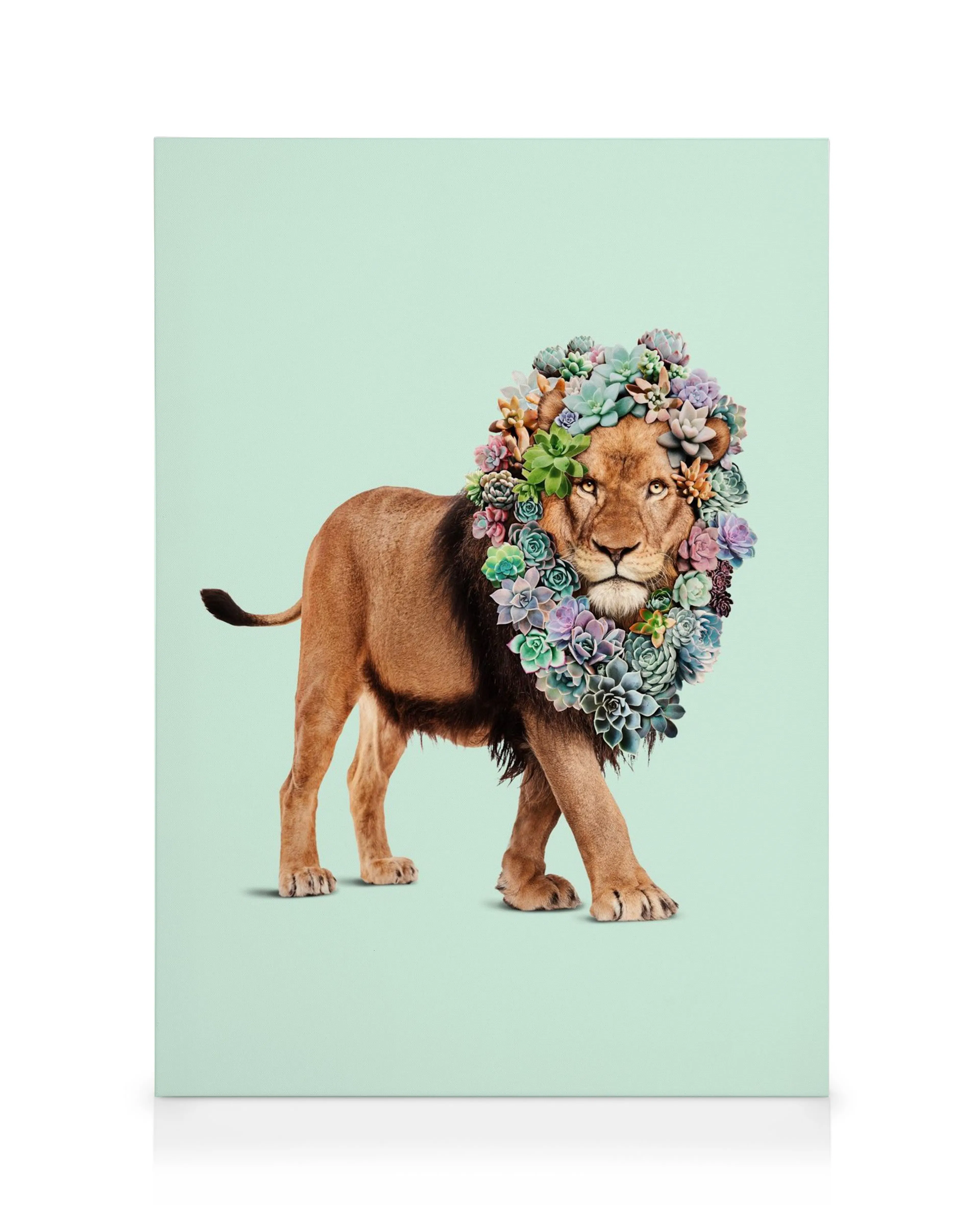 Jonas Loose canvas print featuring a lion with a vibrant succulent plant mane on a light green background.