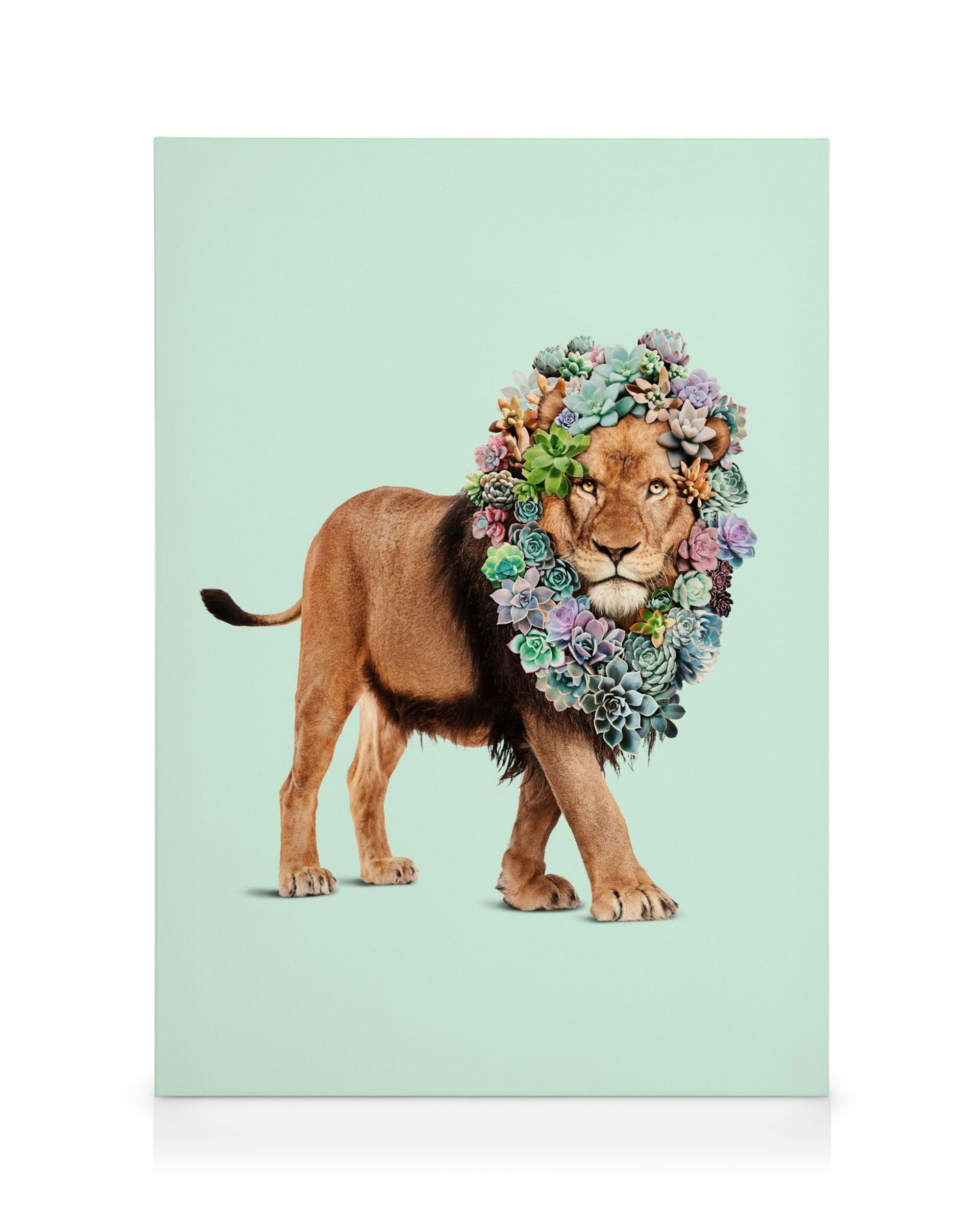 Jonas Loose Succulent Lion Leinwandbild: Brauner Löwe mit Mähne aus Sukkulenten vor hellgrünem Hintergrund, Kunsttierporträt.