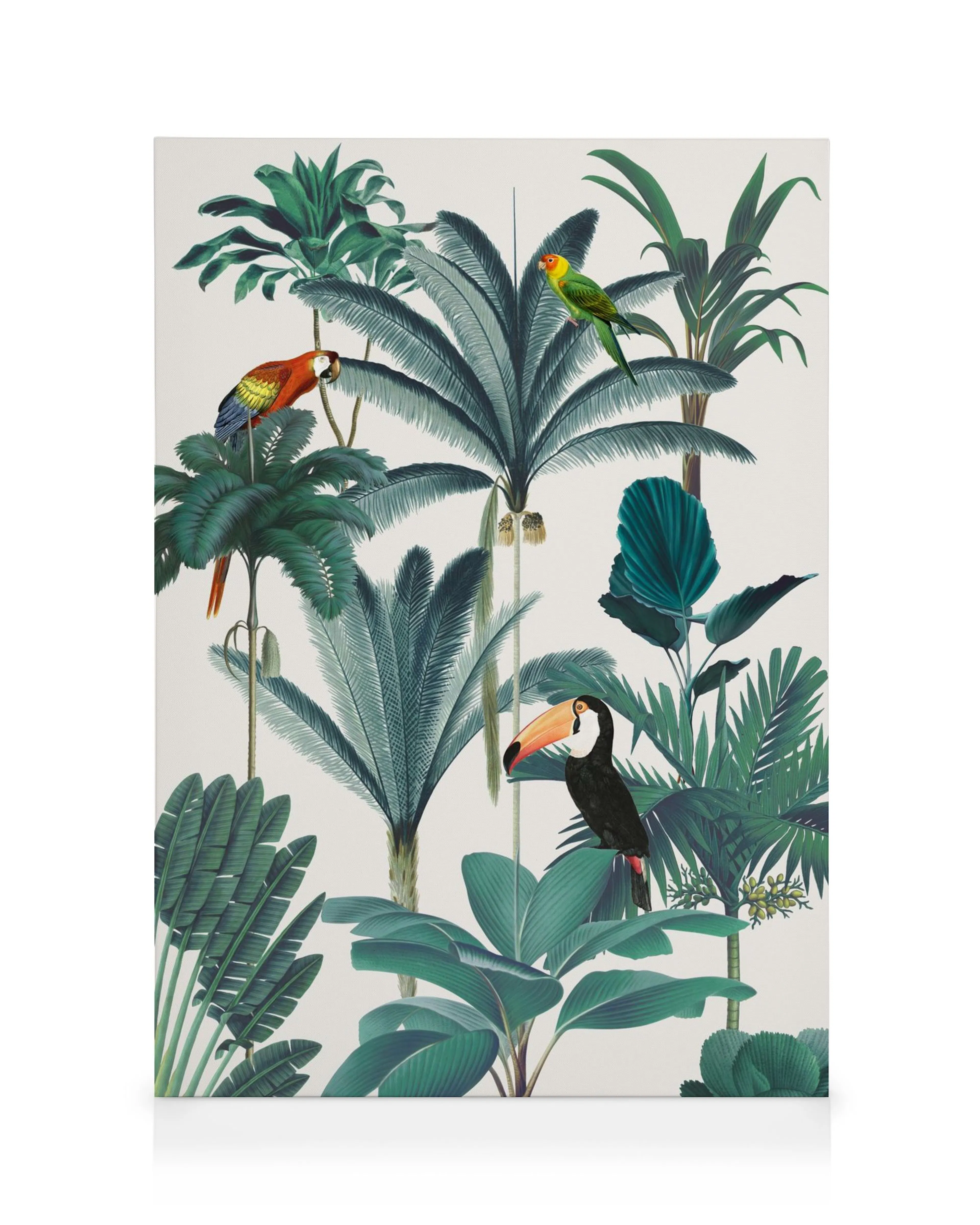 Lienzo botánico con tres pájaros tropicales: un loro rojo, un periquito verde y un tucán, entre palmeras y hojas verdes exuberan