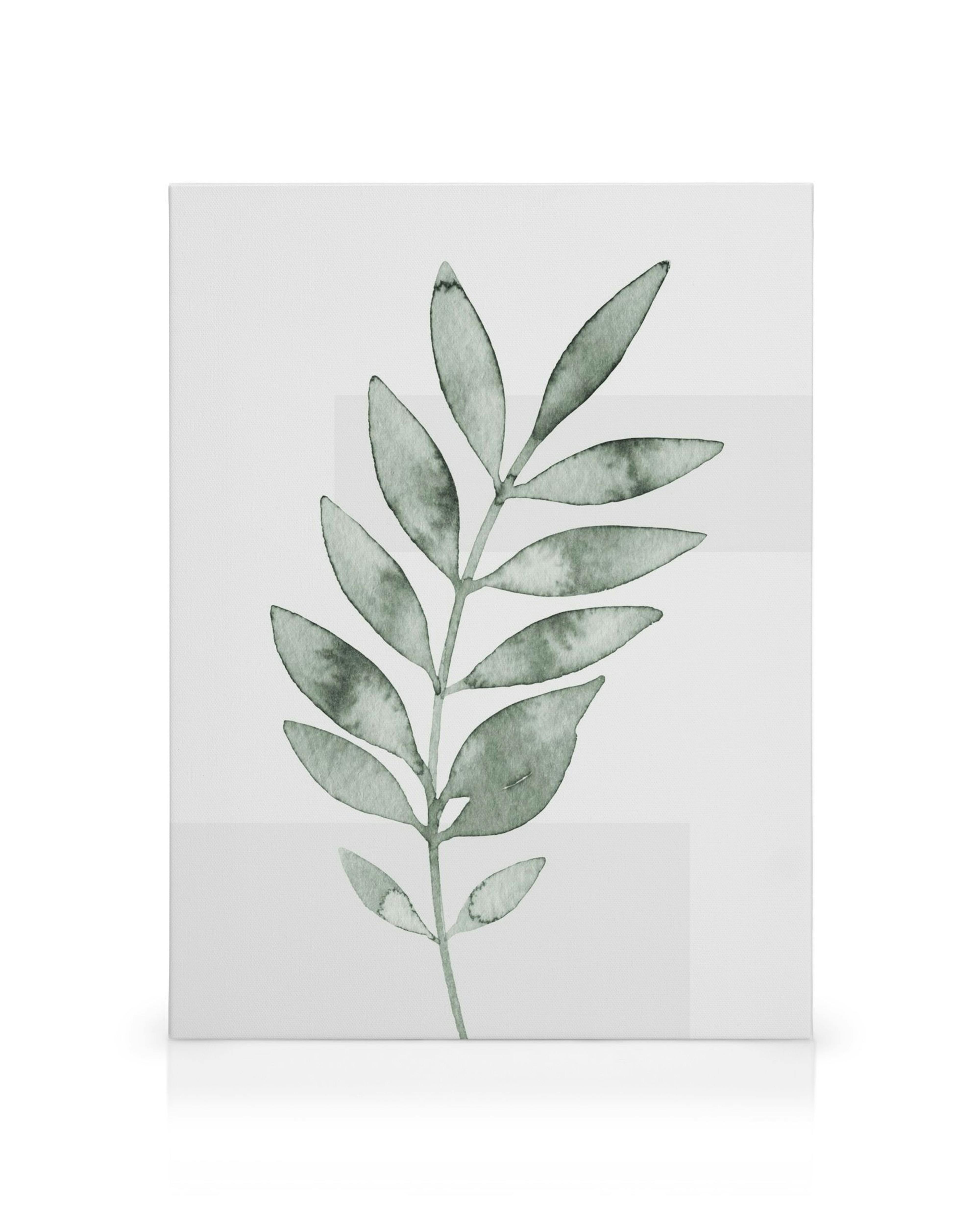 Toile de feuilles vertes allongées à laquarelle avec des variations douces et sereines sur fond blanc