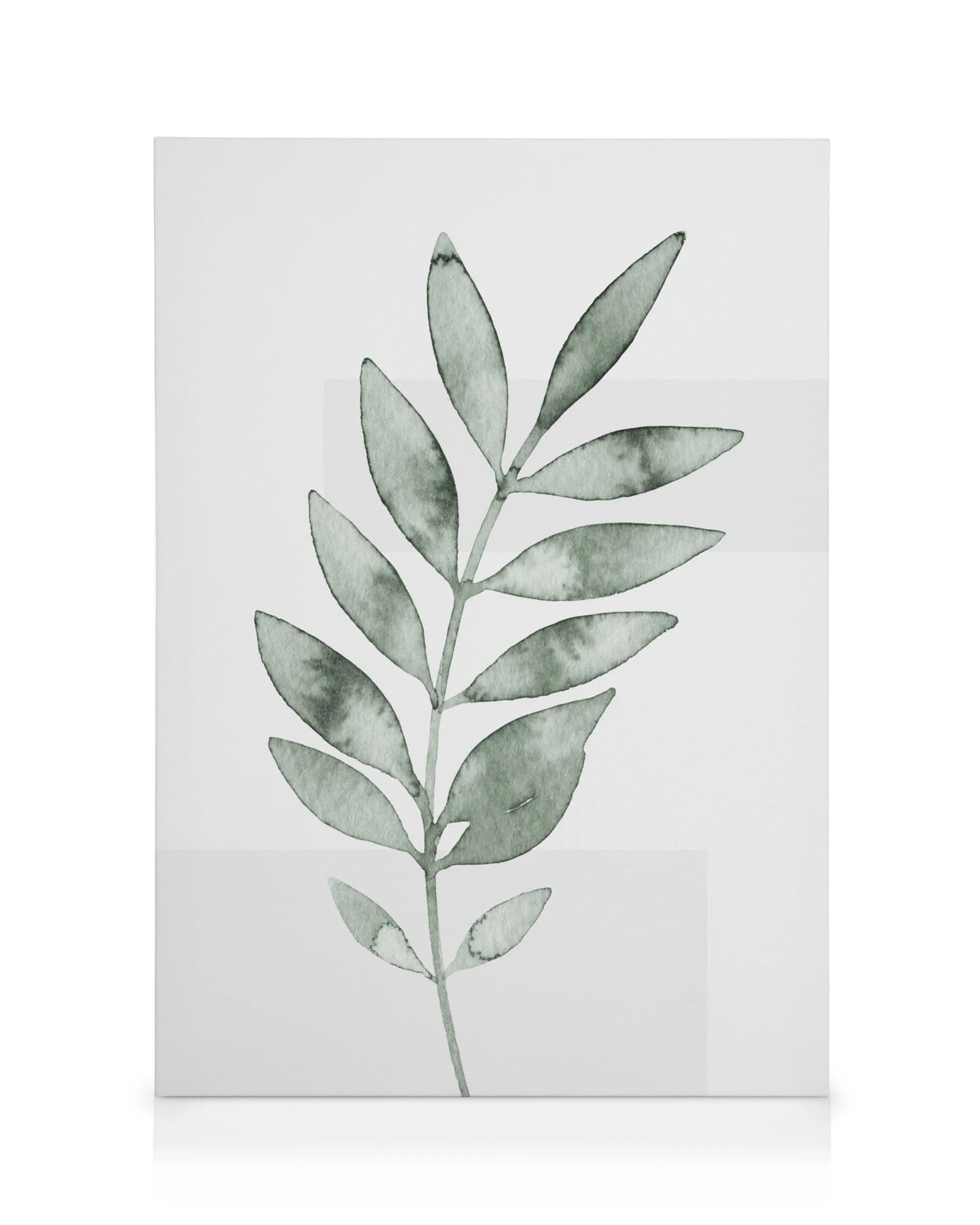 Watercolor Leaves No4 canvas print, botanical art featuring a single green leafy branch on a white background.