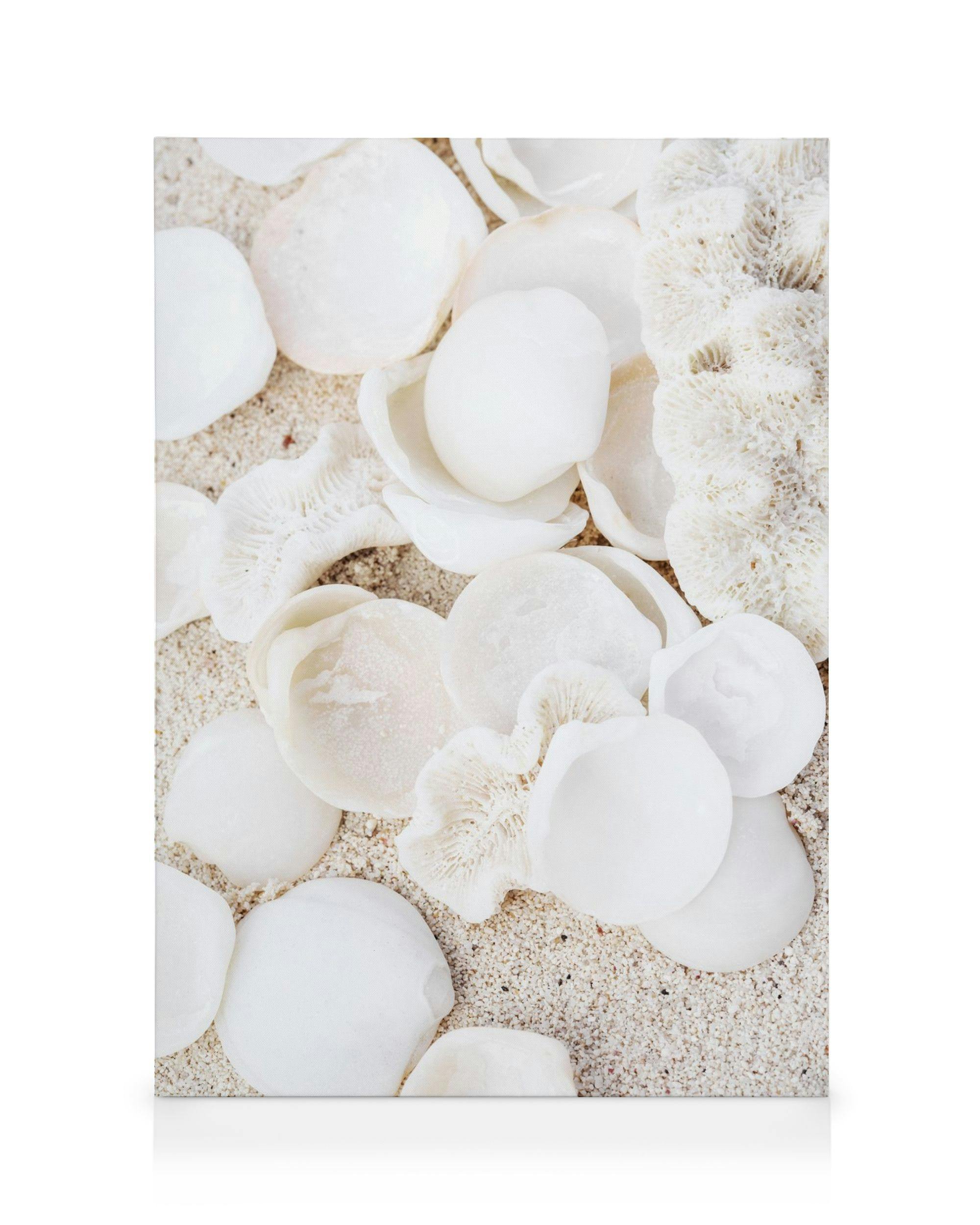 Canvas Prints Collecting Memories Canvas print (50x70 cm - Black Frame)