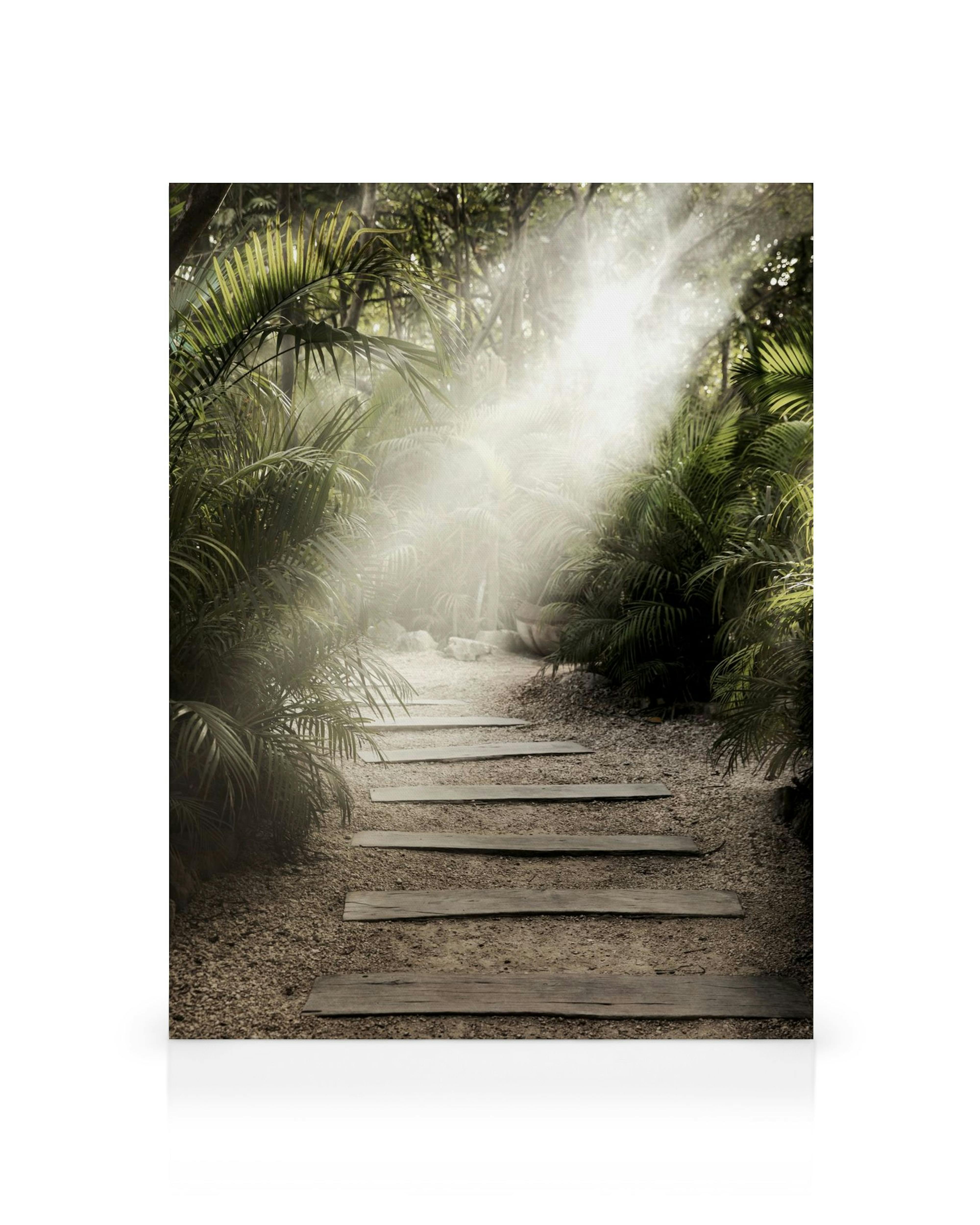 Geheimnisvoller Waldweg mit Holzstufen und Palmen im Nebel, Sonnenlicht bricht durch das Blätterdach.