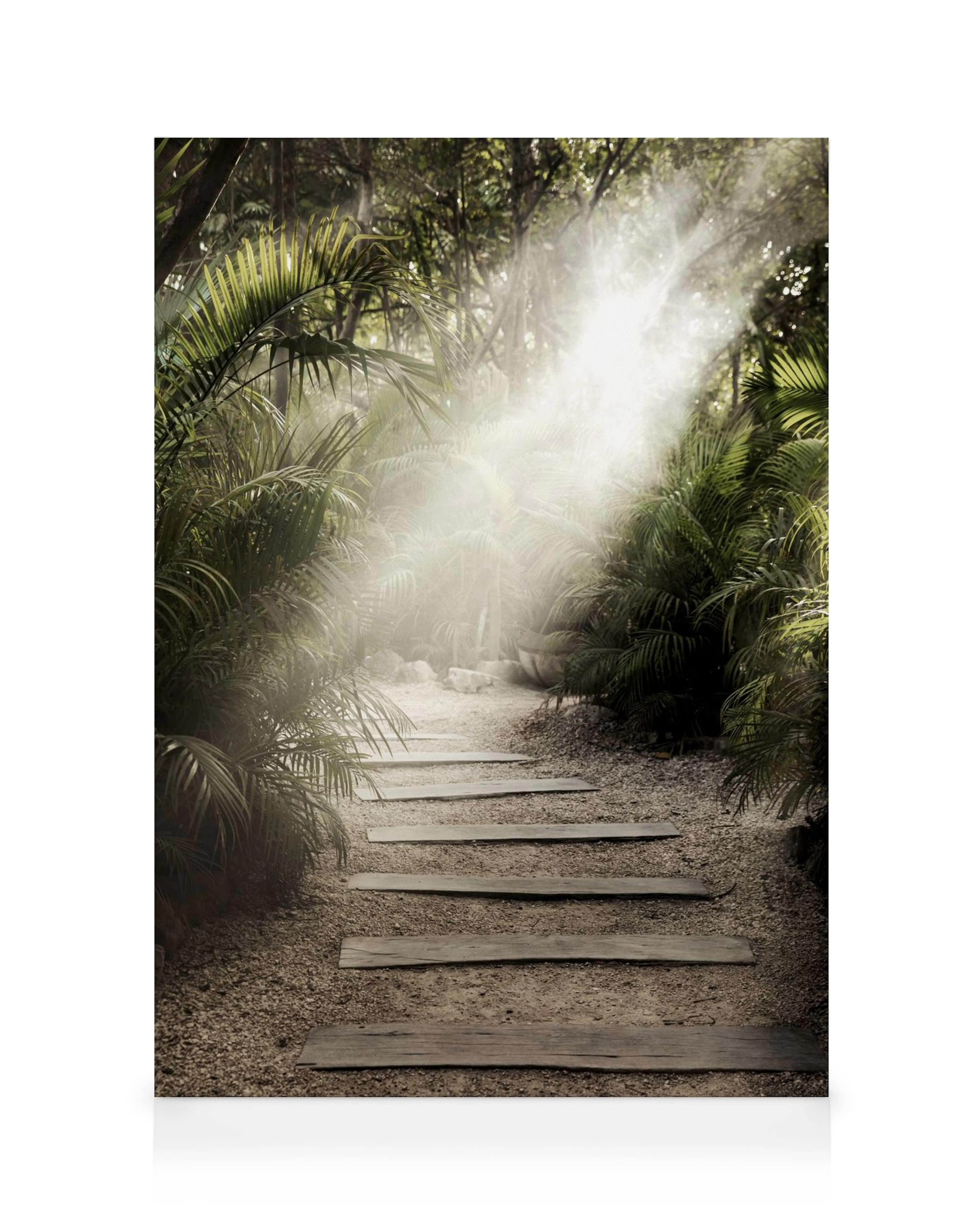 Secret Path canvas print: Lush green jungle path with wooden steps and bright light filtering through the trees, creating a myst