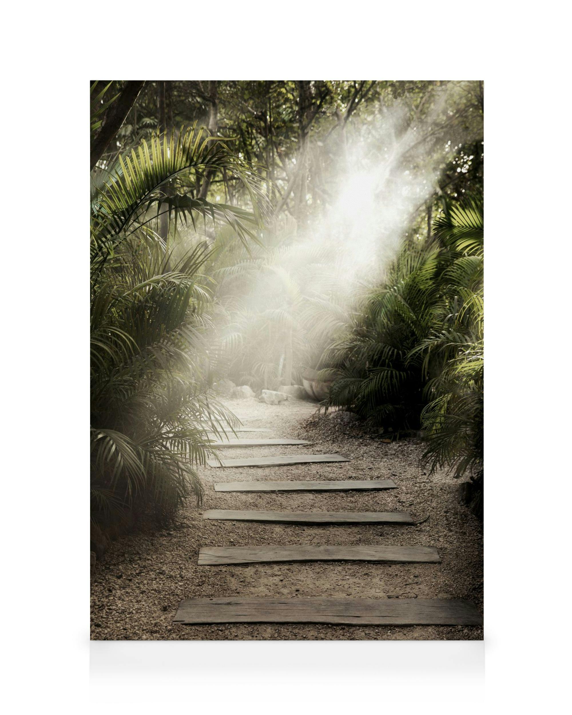 Canvas Prints Secret Path Canvas print (50x70 cm)