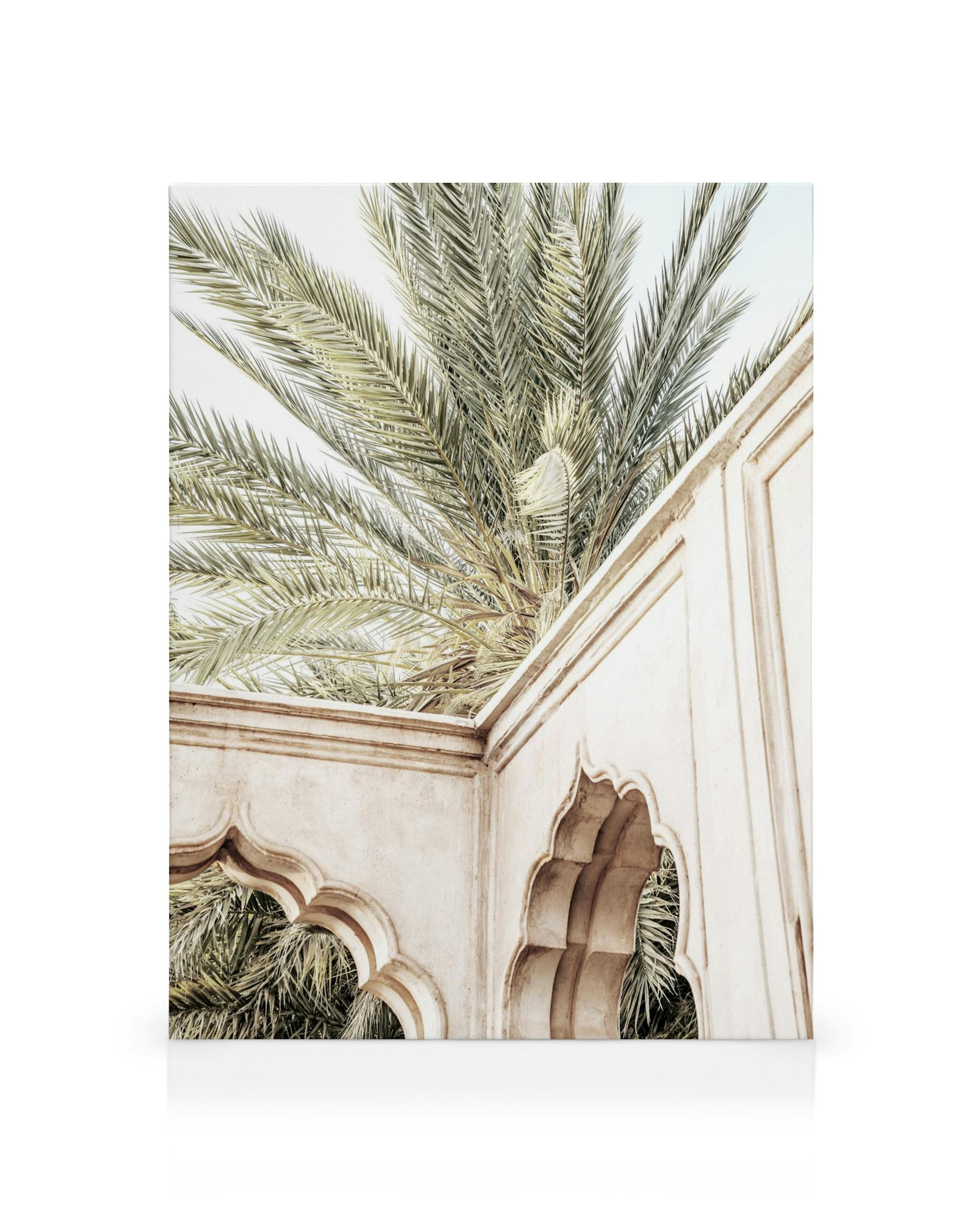 Palm tree leaves above an arched, textured wall in warm beige tones for tropical wall decor.