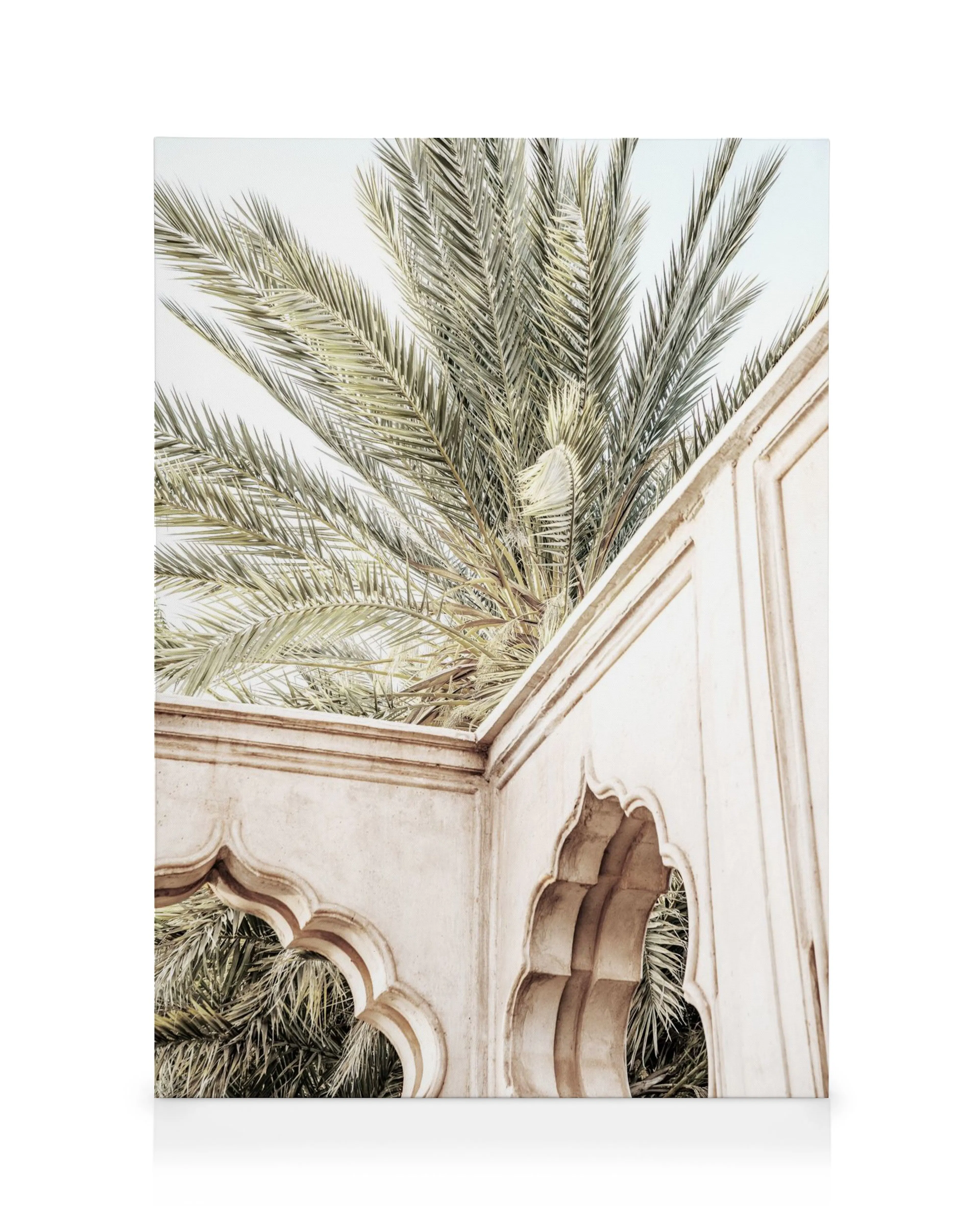Lienzo con palmeras y pared arqueada en tonos beige y cálidos, textura tropical.