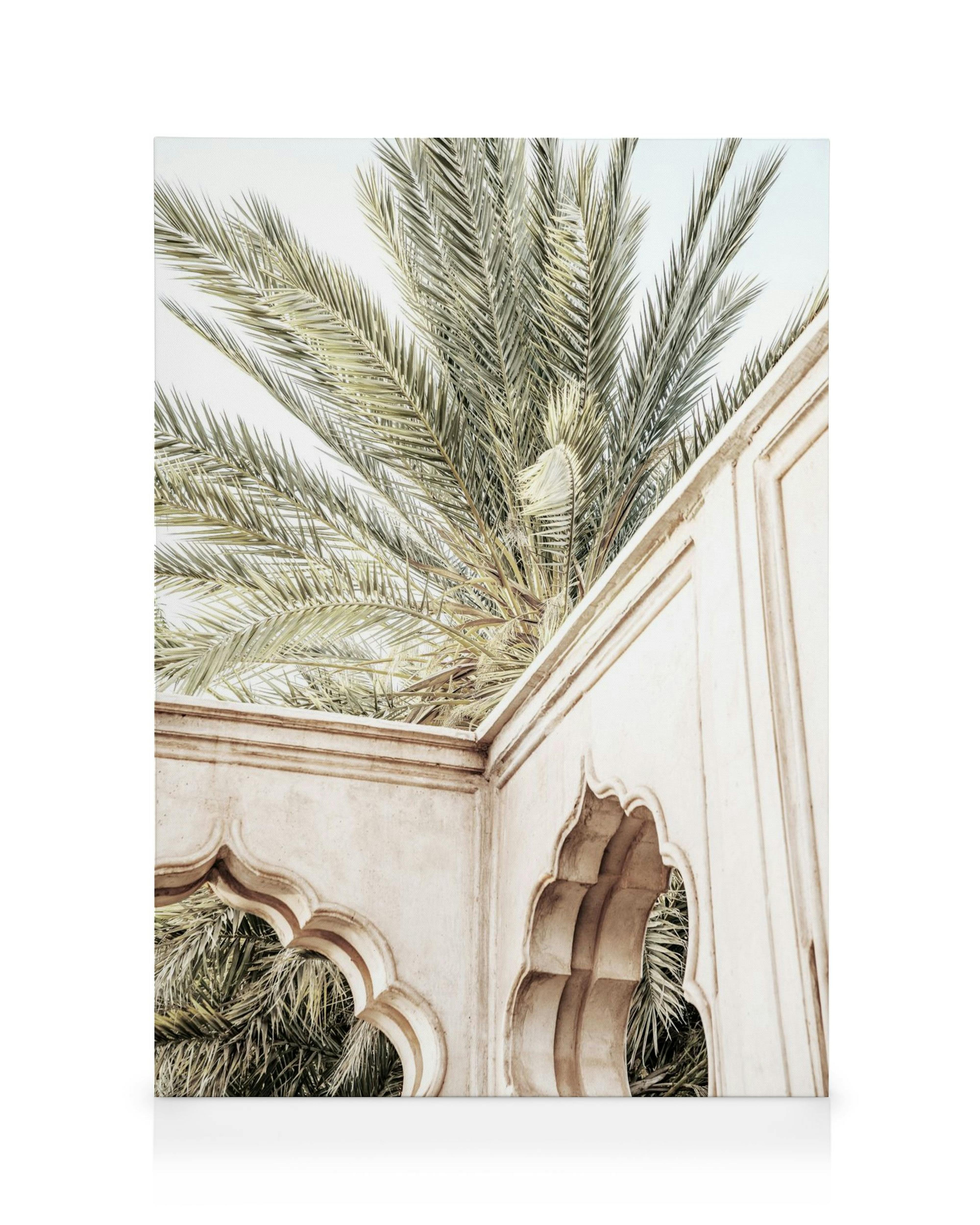 Toile dun palmier au-dessus dun mur voûté beige et chaud, avec des textures douces et un style tropical apaisant