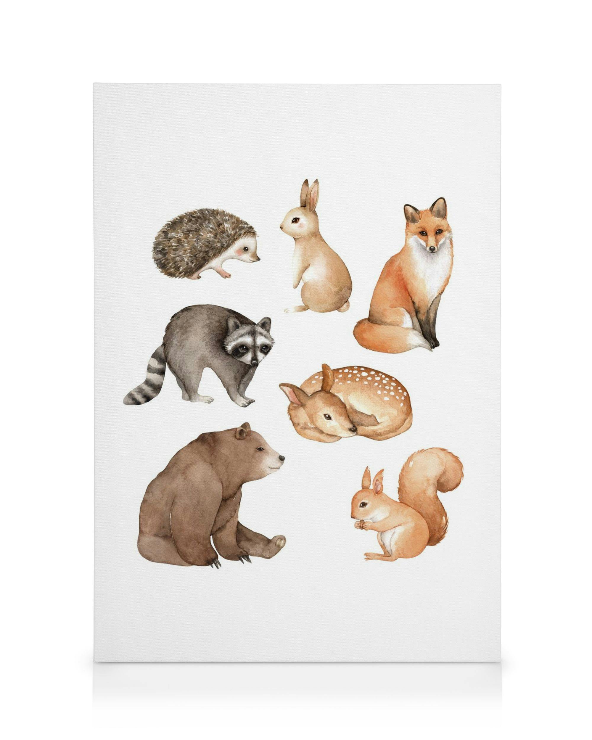 Canvas Prints Forest Animals Canvas print (30x40 cm - Oak Frame)