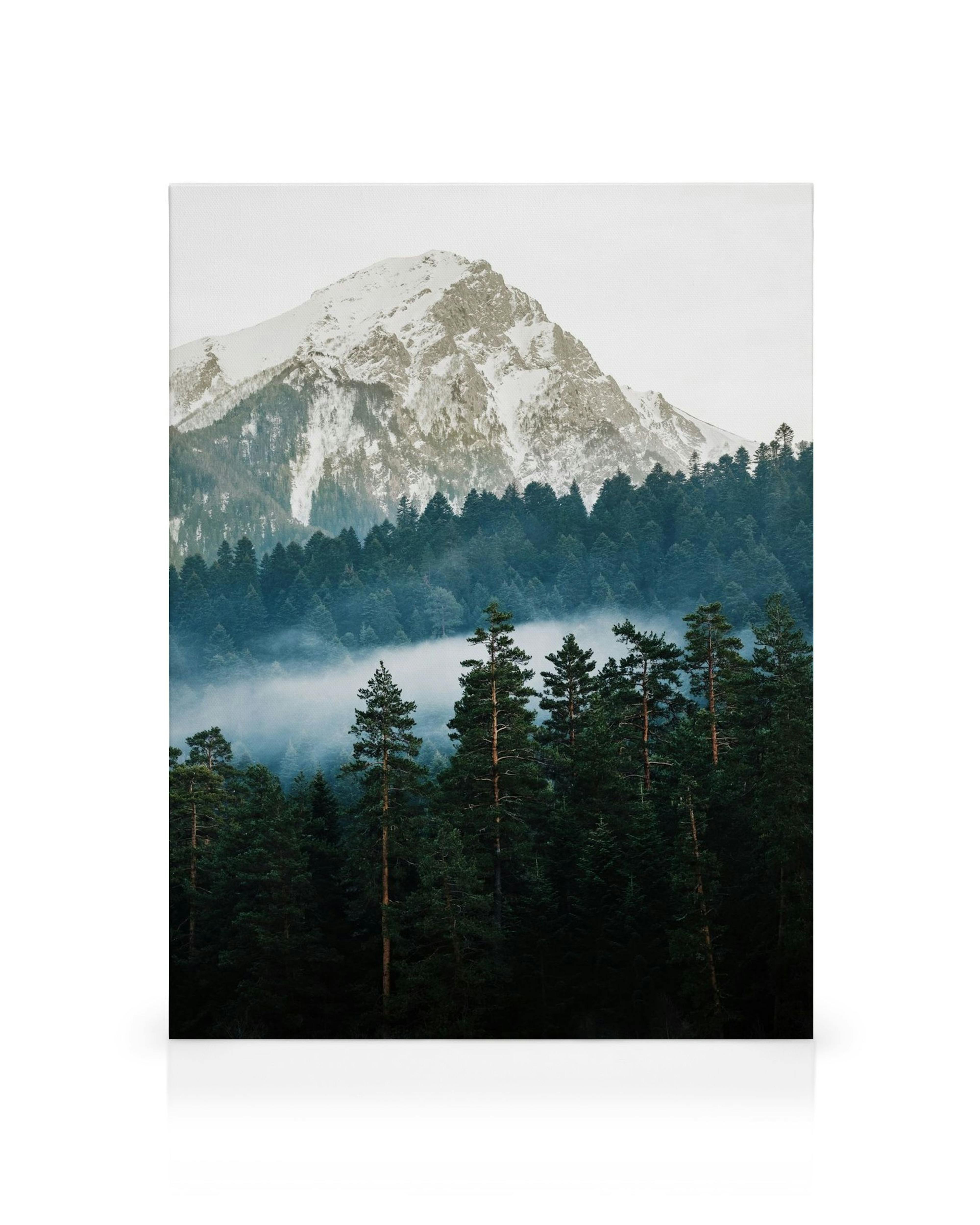 Mountain and forest canvas print with snowy peak and misty evergreen trees, a stunning nature landscape.