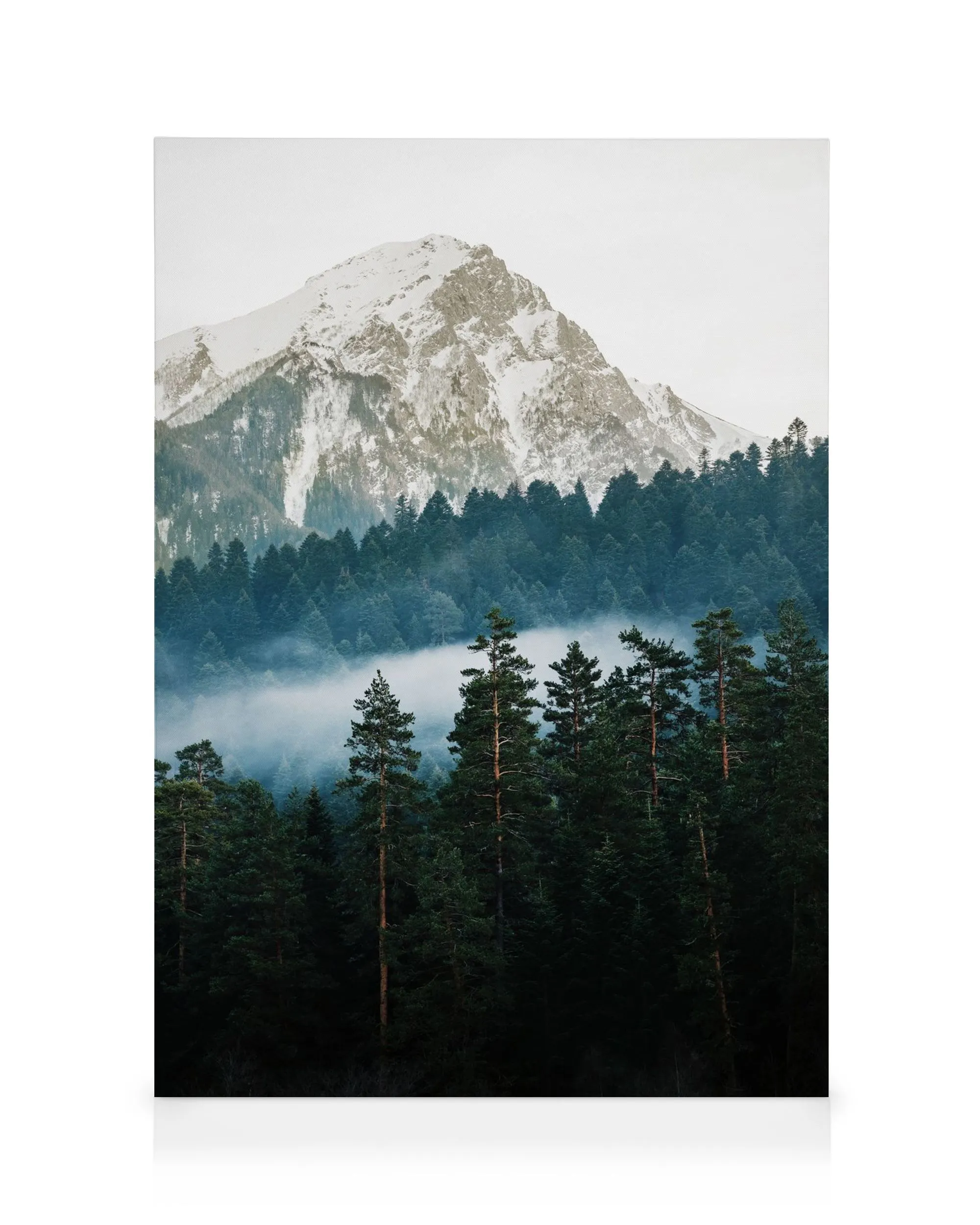 Lerretsbilde av snødekt fjelltopp med grønne furutrær og tåke i skogen, i grønne og grå toner.