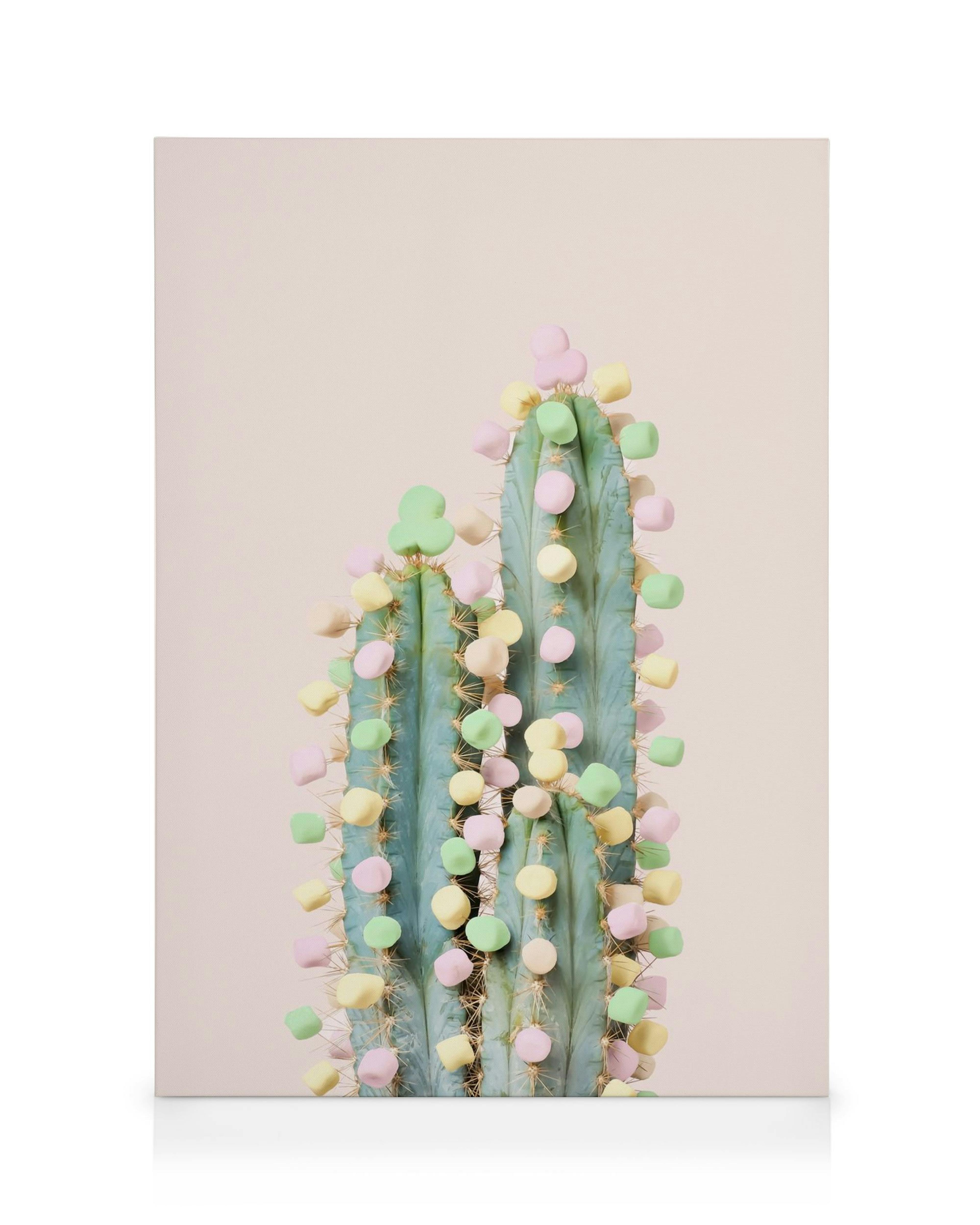 Toile de cactus avec des points pastel roses, jaunes et verts sur fond rose vif