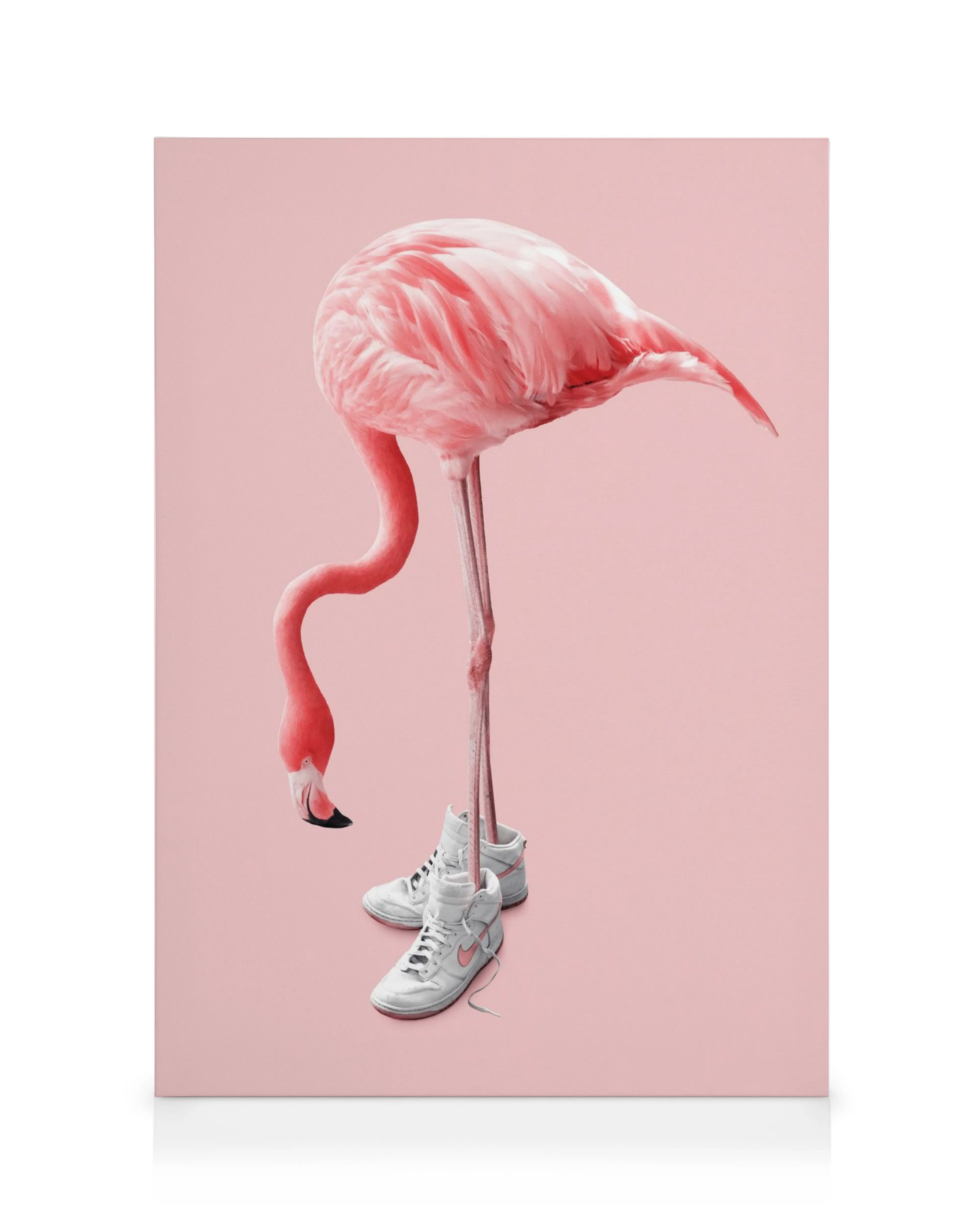 Toile de flamant rose en baskets blanches sur fond rose uni, style art mural ludique.