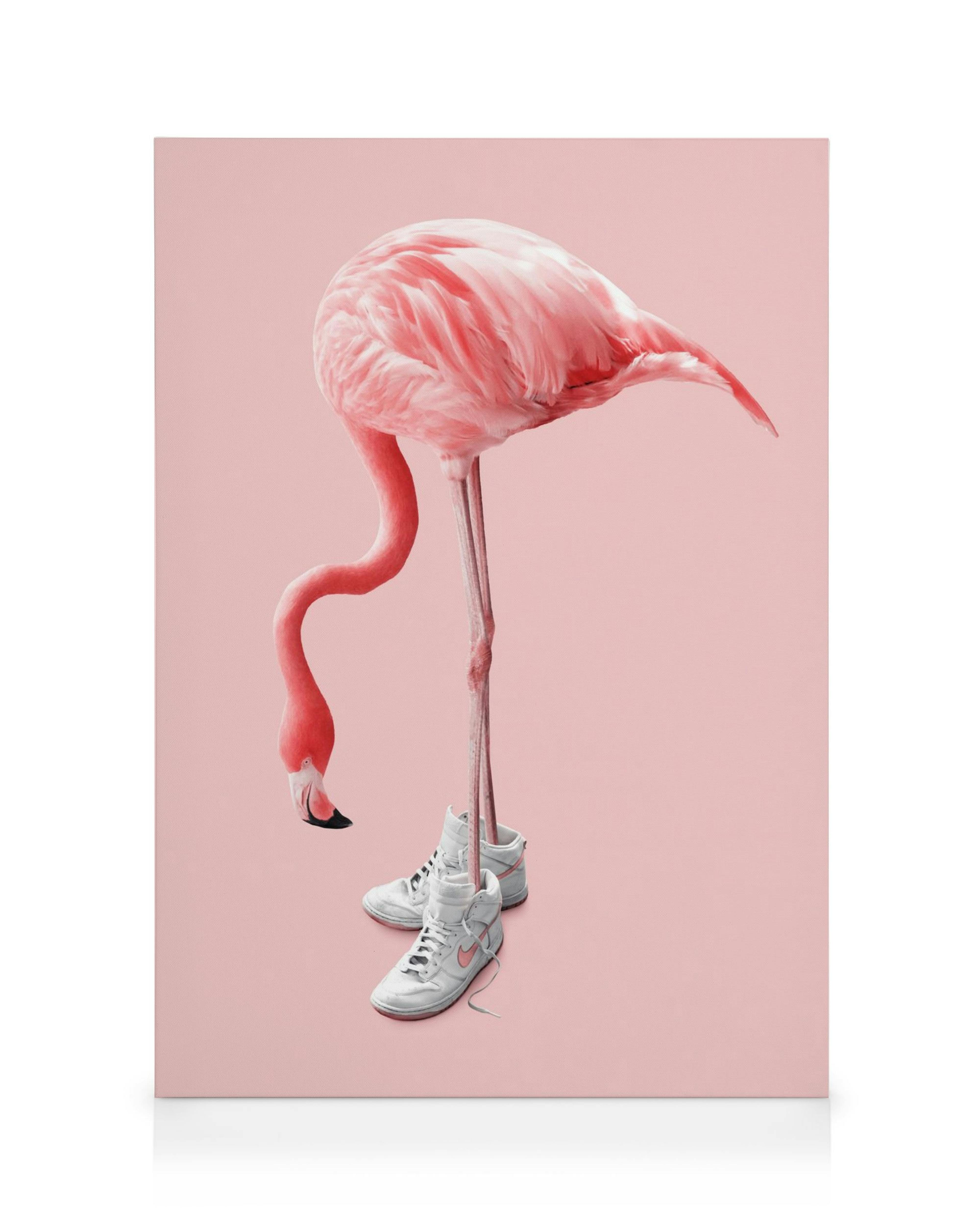 Roze flamingo in witte sneakers, staand op één been op effen roze achtergrond, canvas