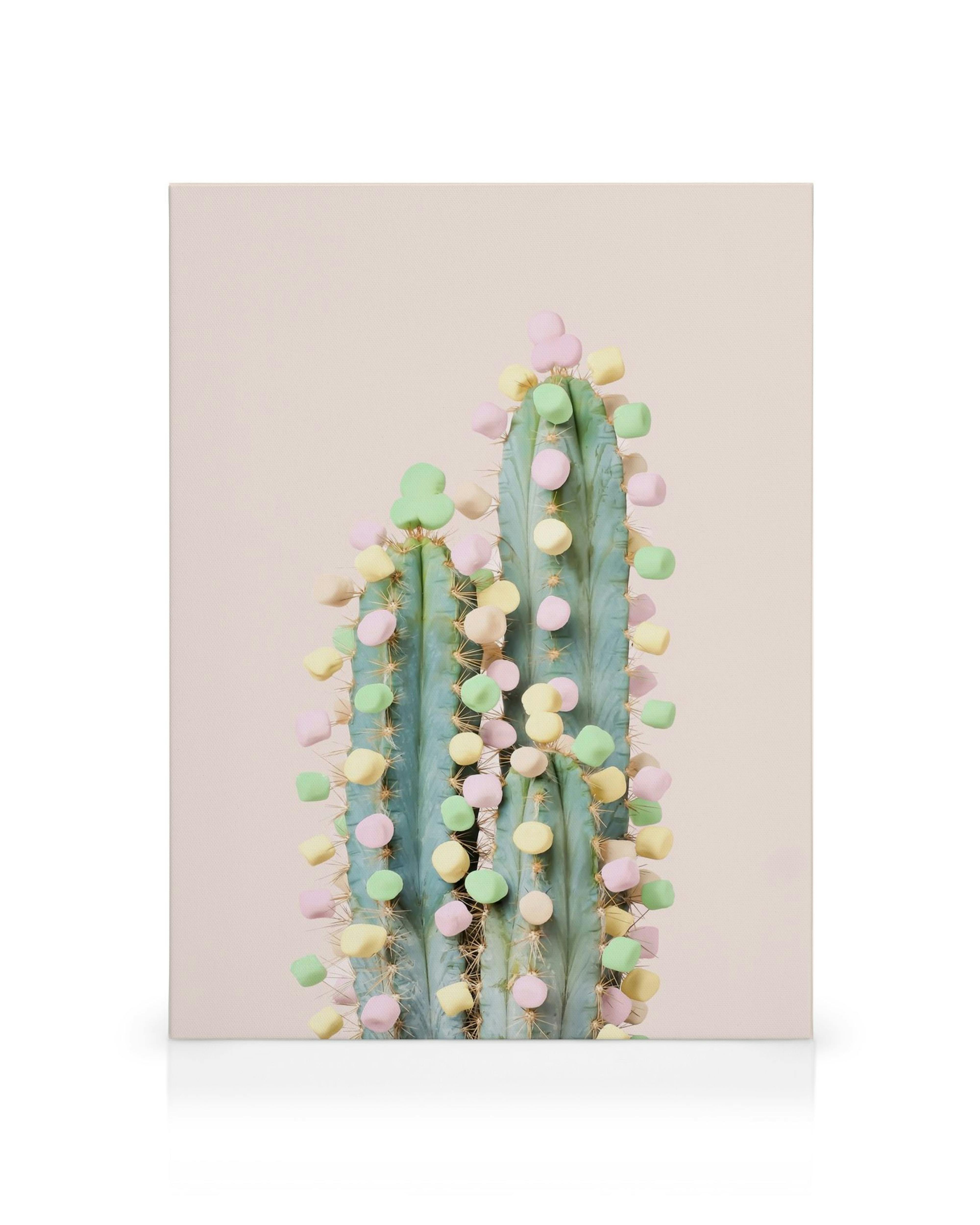 Obraz na plátně s kaktusem ozdobeným barevnými marshmallow bonbony na bledě růžovém pozadí.