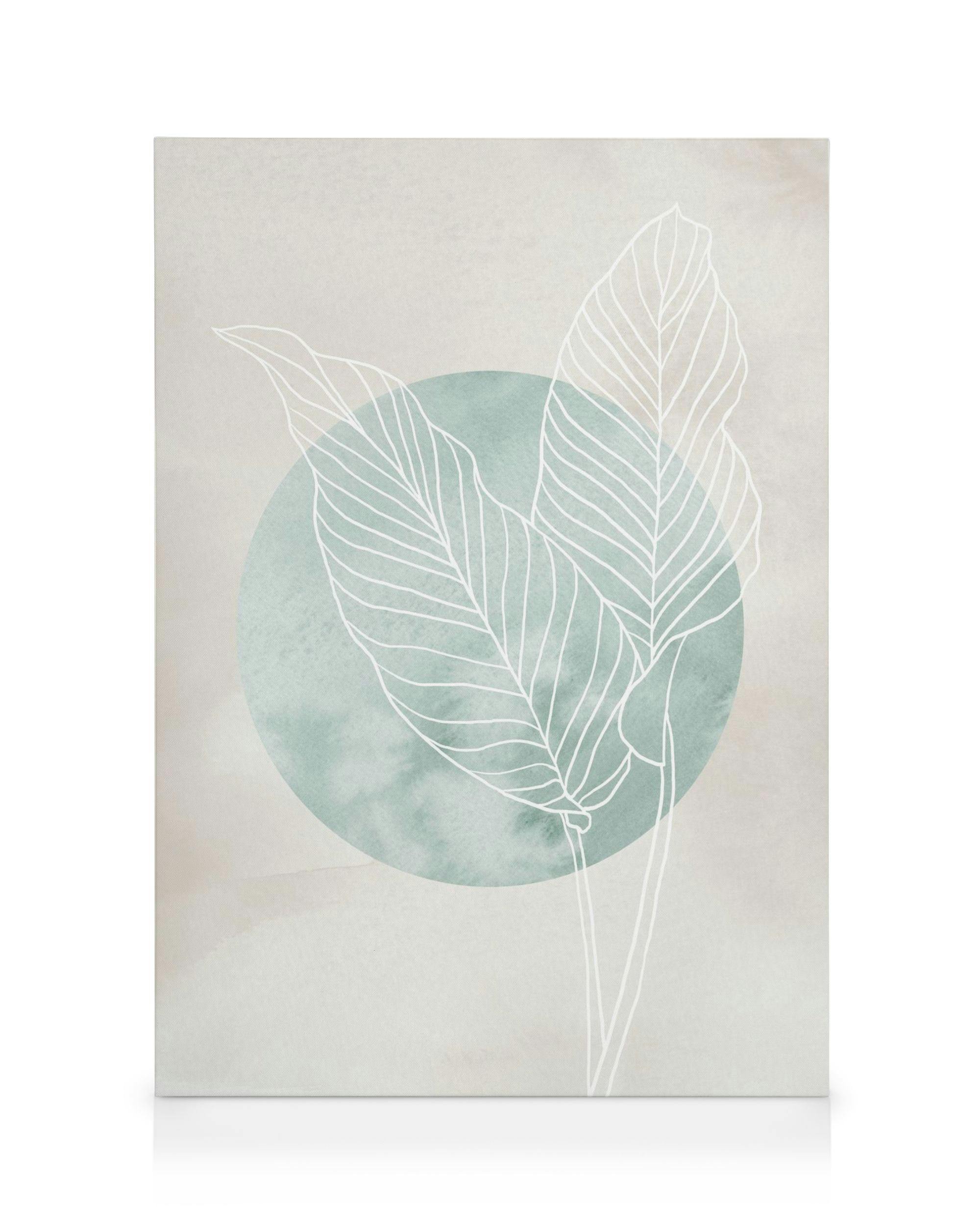 Calathea line drawing canvas print with white botanical illustration over a mint green watercolor circle and beige background.
