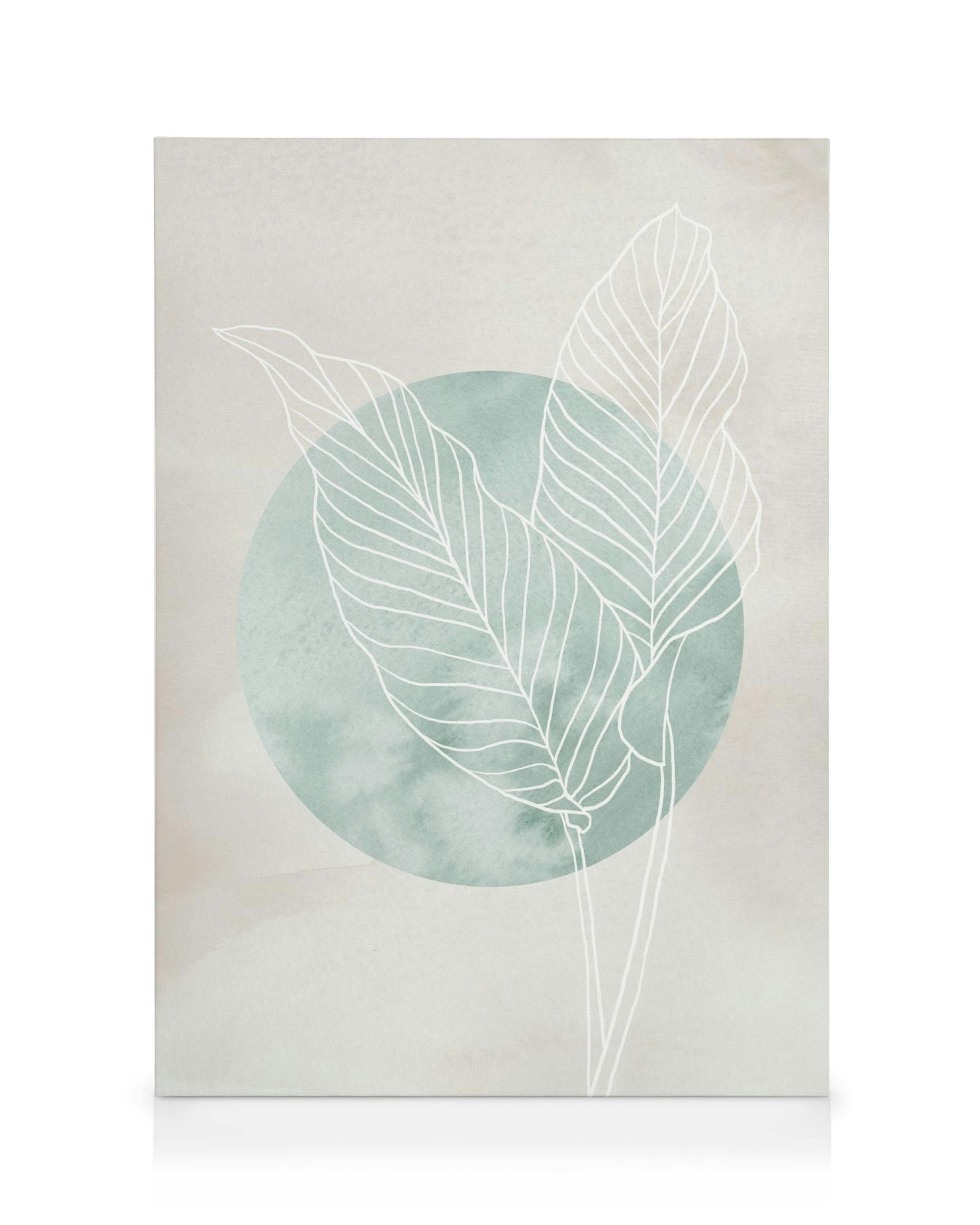 Calathea line drawing canvas print with white botanical illustration over a mint green watercolor circle and beige background.