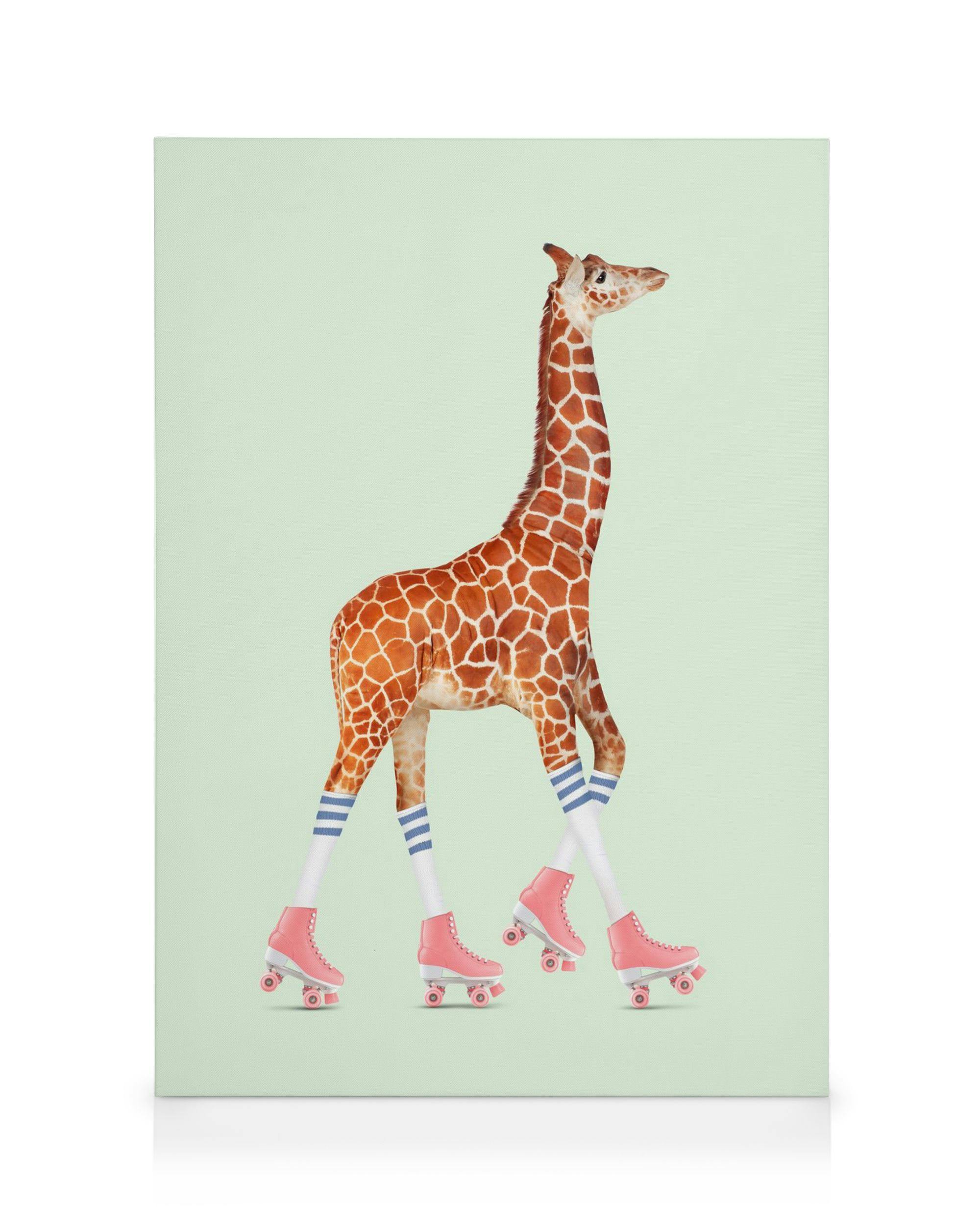 Leinwandbild: Giraffe mit langen Beinen, blauen Socken und rosafarbenen Rollschuhen auf hellgrünem Hintergrund, von Jonas Loose.