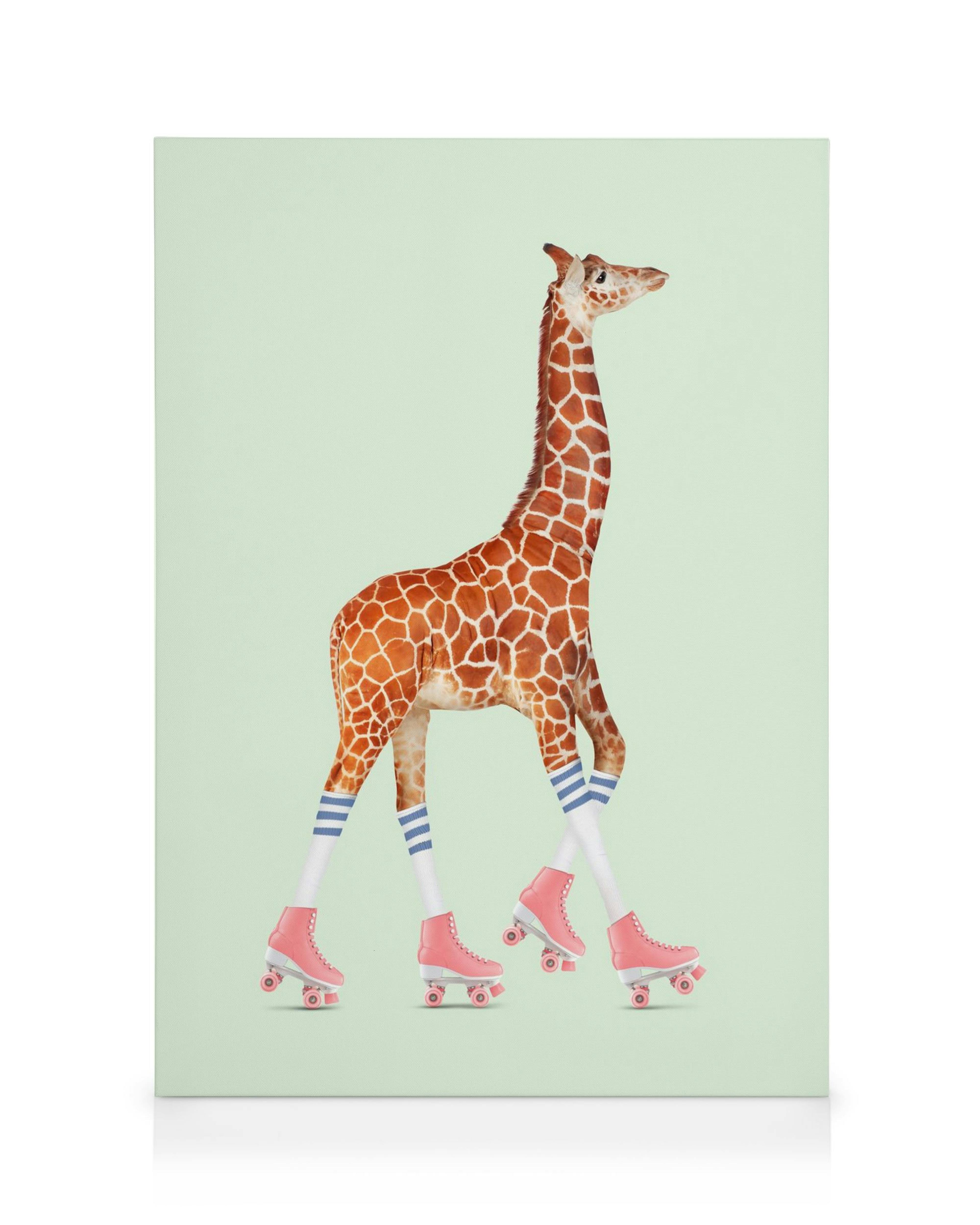Leinwandbild: Giraffe mit langen Beinen, blauen Socken und rosafarbenen Rollschuhen auf hellgrünem Hintergrund, von Jonas Loose.