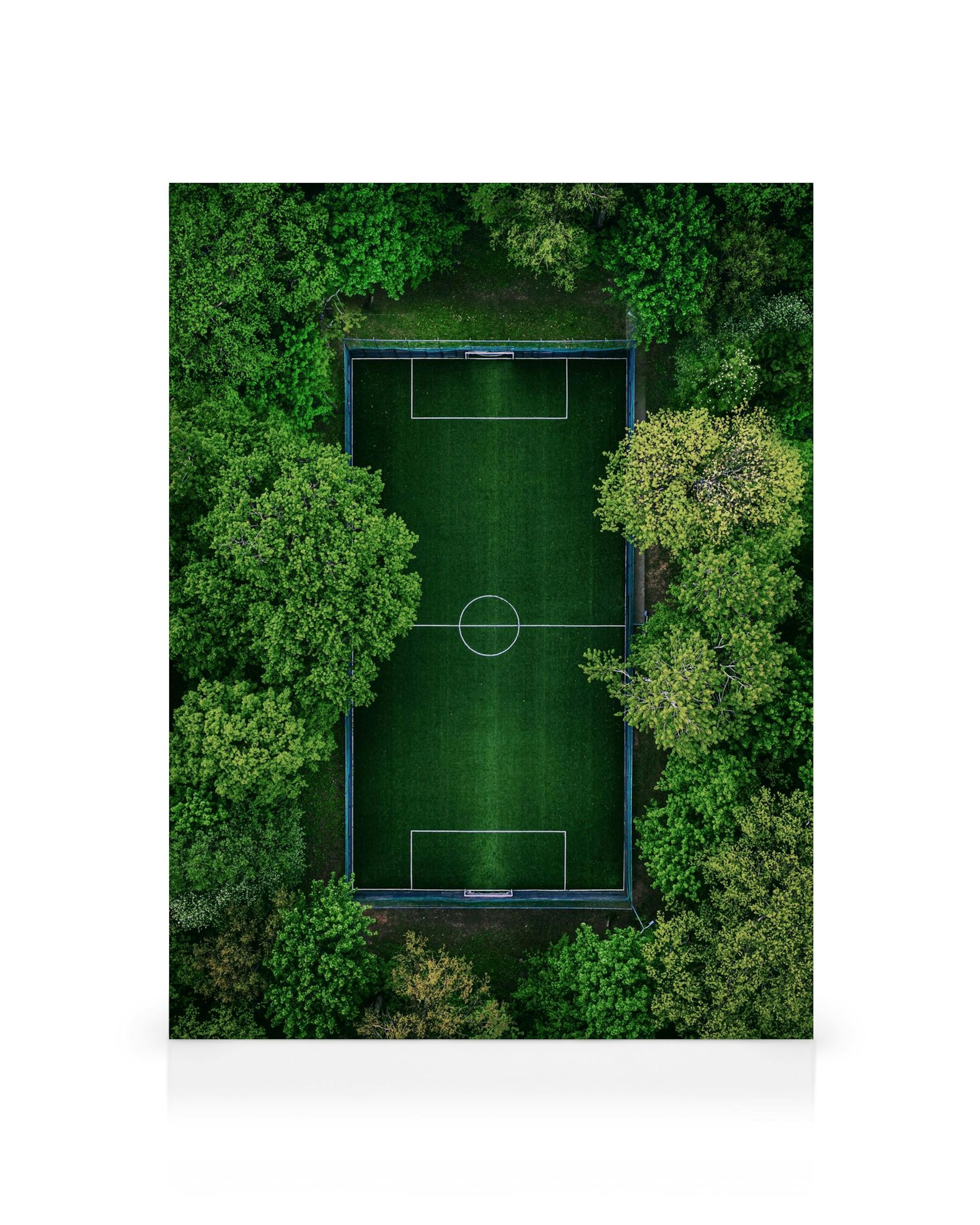 Blick von oben auf einen leeren grünen Fußballplatz, umgeben von dichten grünen Bäumen.