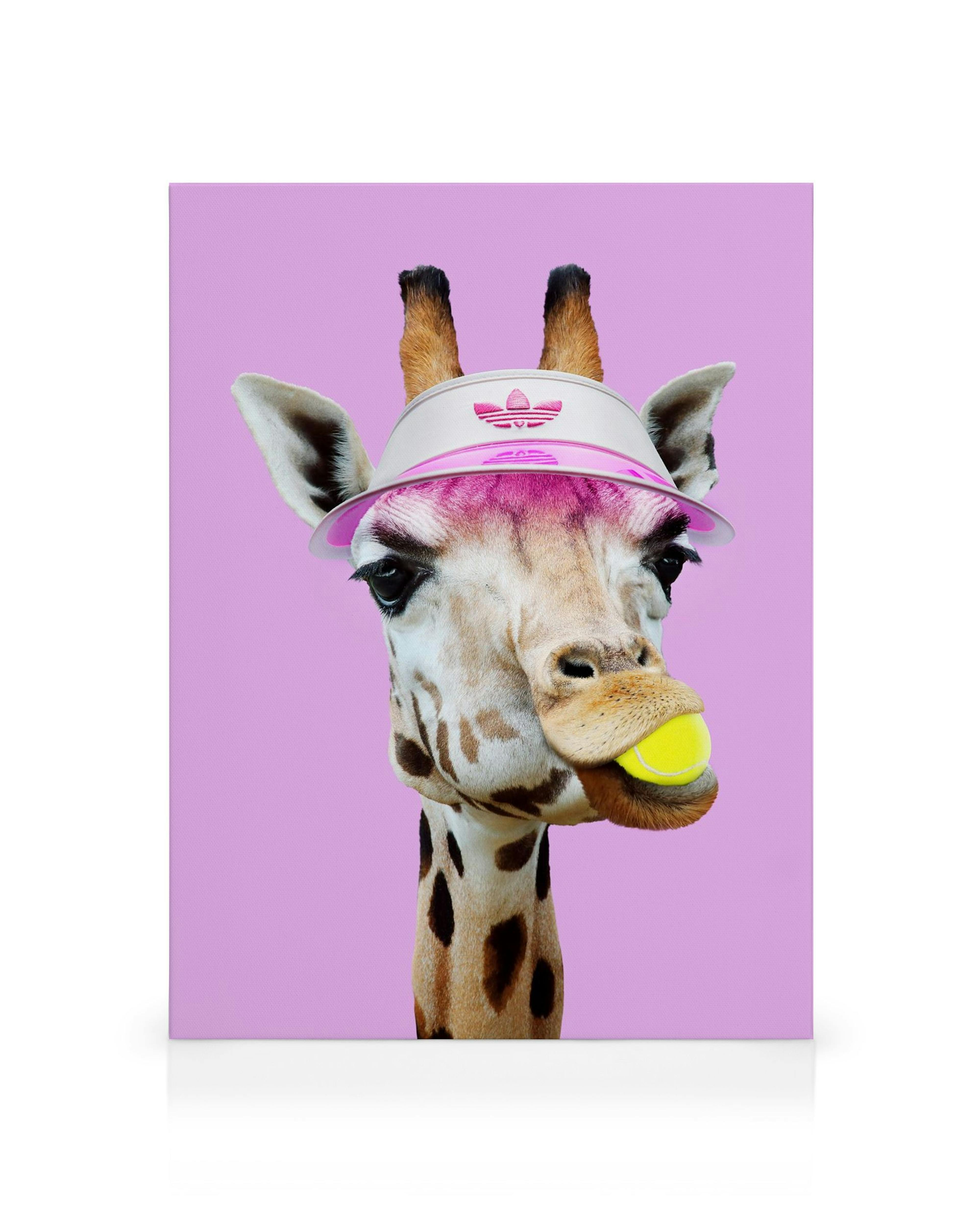 Jonas Loose Tennis Giraffe canvas print: giraffe head with pink visor and tennis ball in mouth, on pink background.