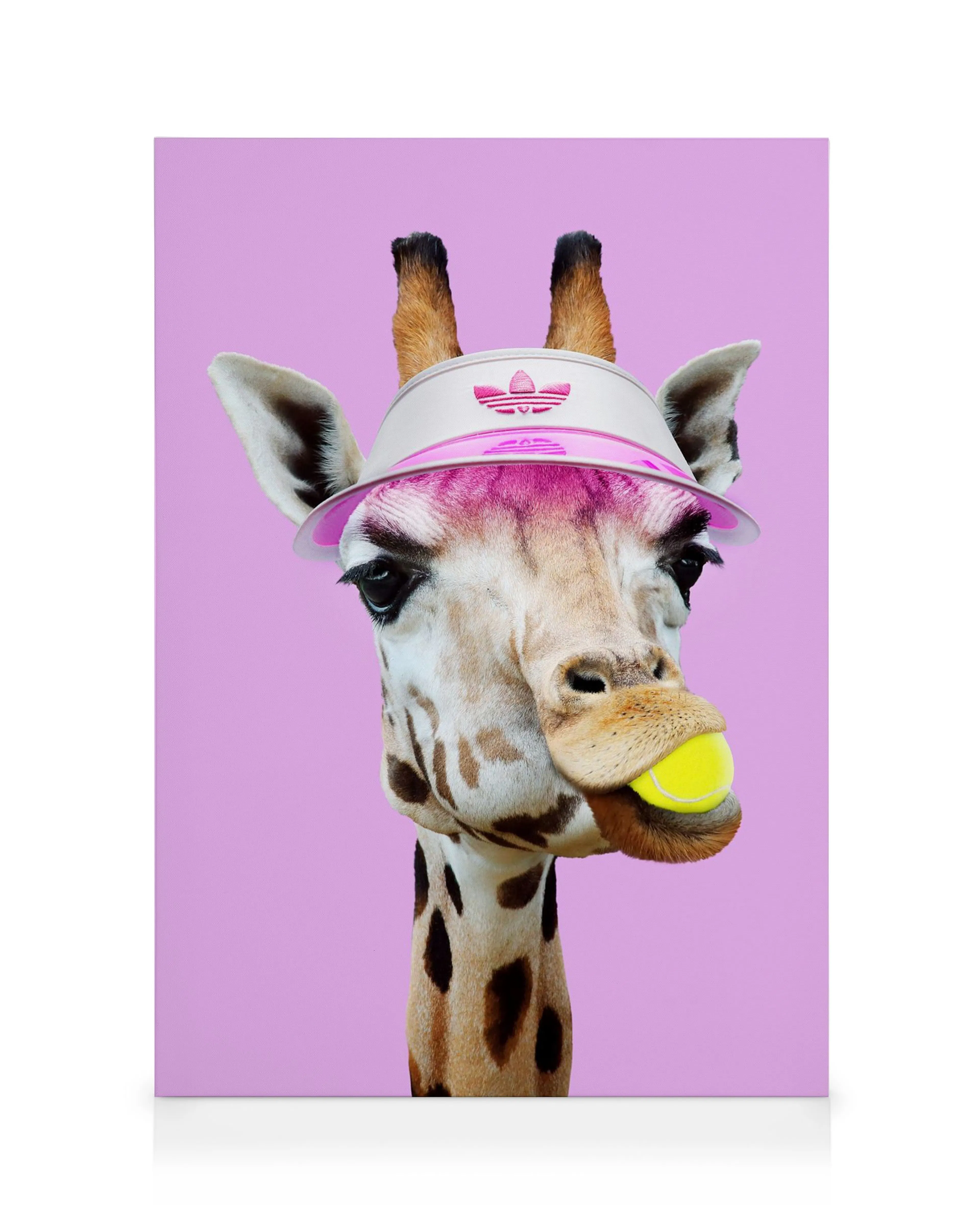Jonas Looses Tennis Giraffe canvas print featuring a giraffe wearing a pink tennis visor and holding a tennis ball.