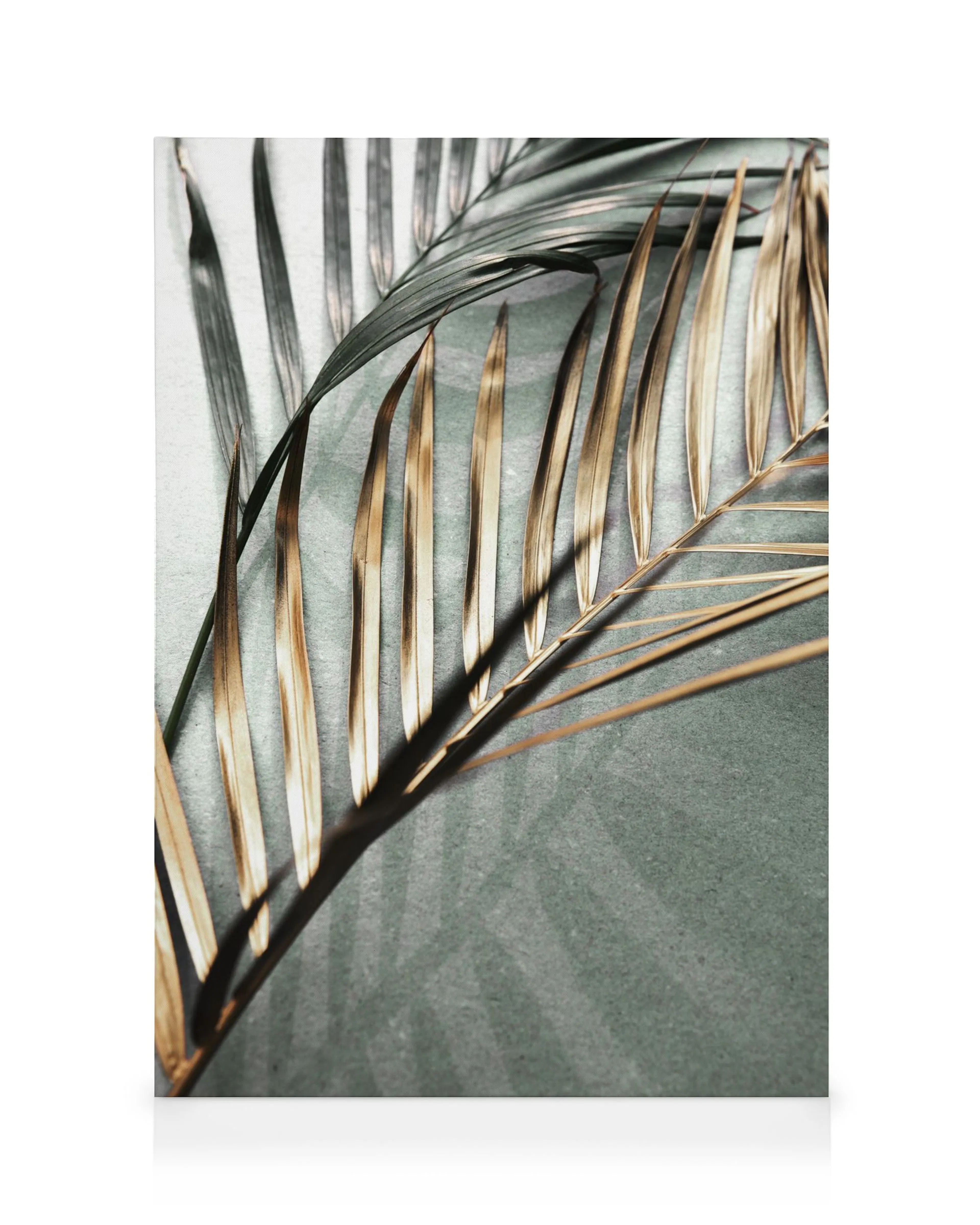 Gold and green palm leaves on a canvas, with a golden leaf in the foreground casting a shadow over a green textured background
