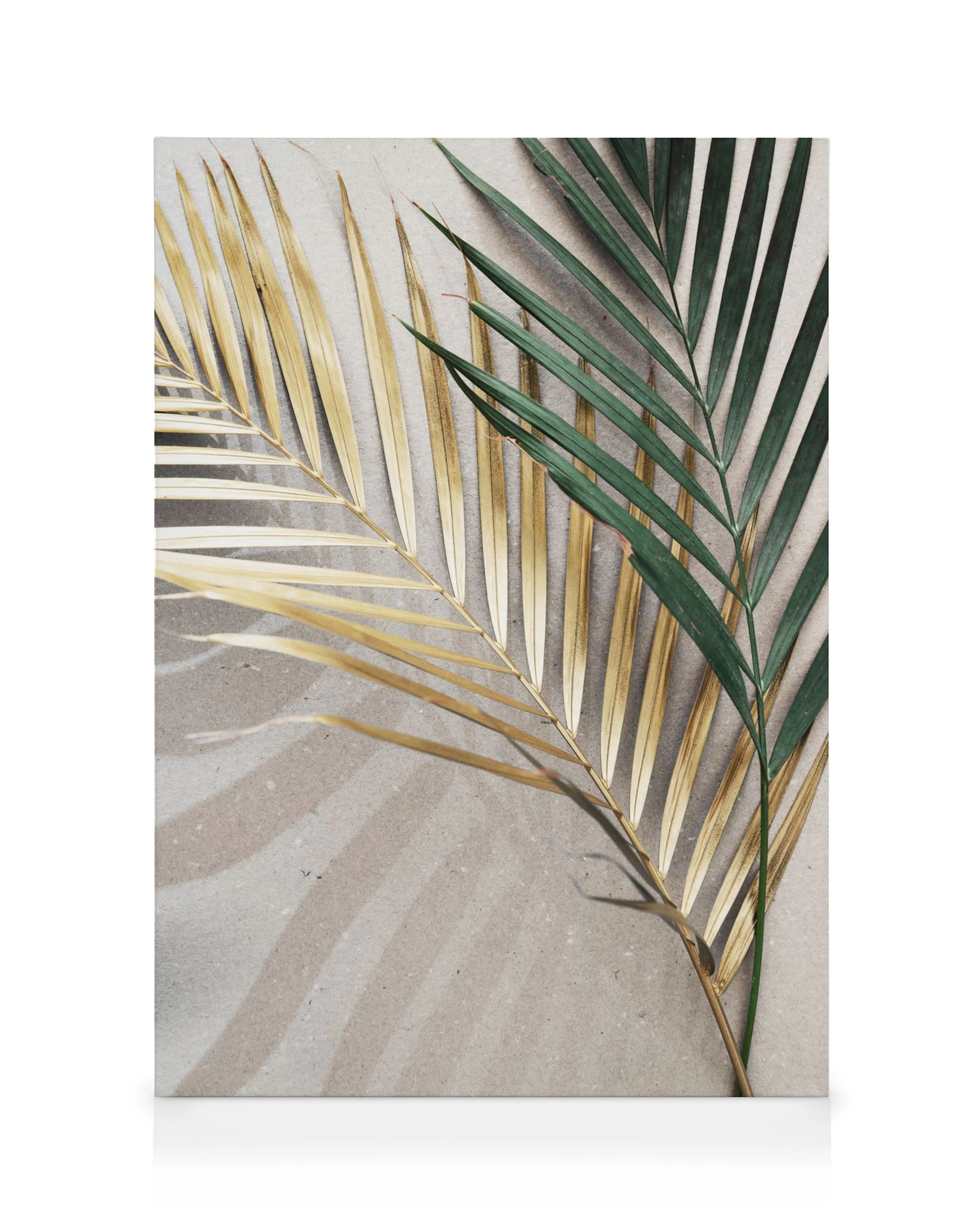 Tropical palm canvas with a gold leaf and a green leaf, casting shadows on a light grey background.