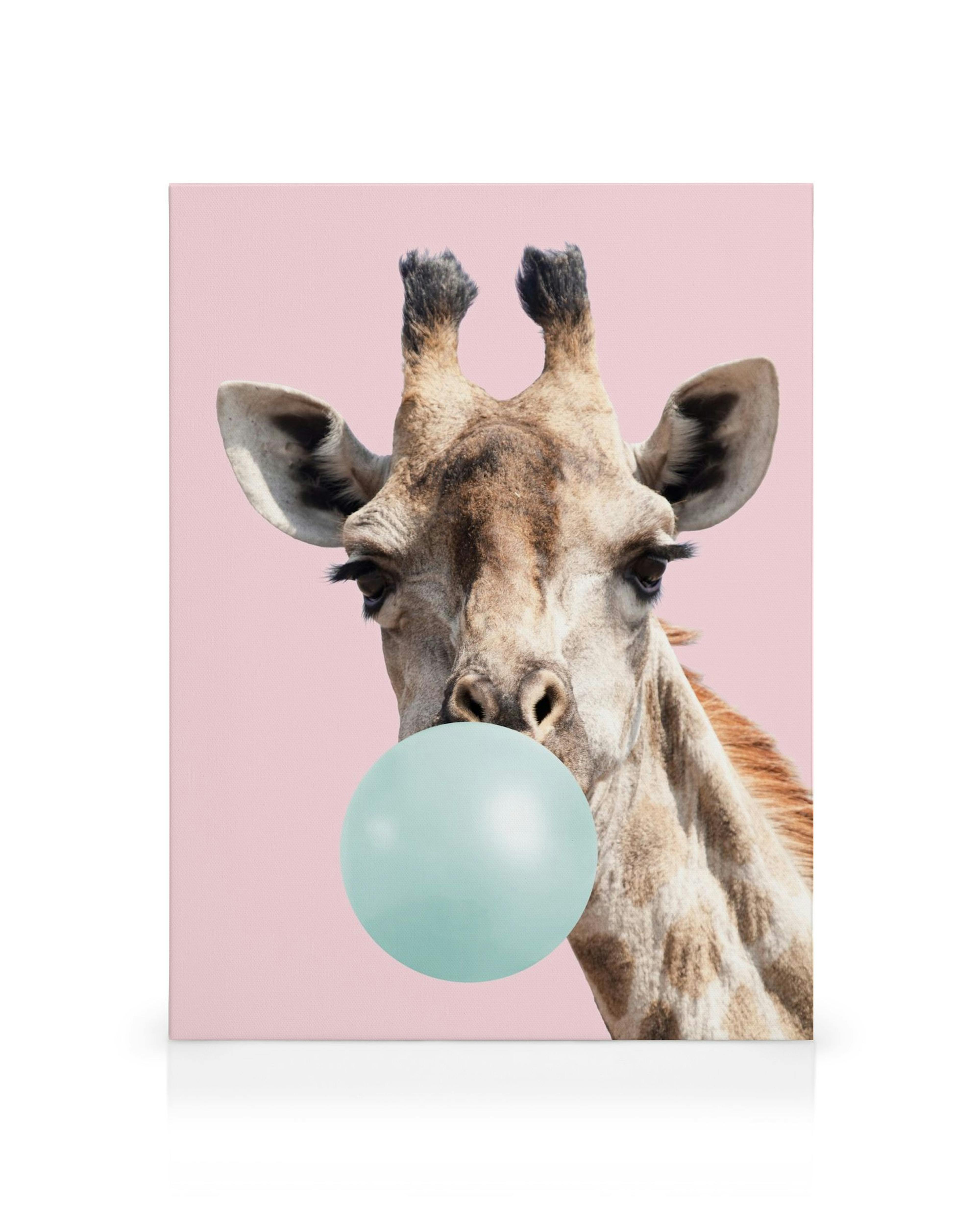 Obraz žirafy s bublinou žvýkačky na růžovém pozadí, zábavný design, umění na plátně.