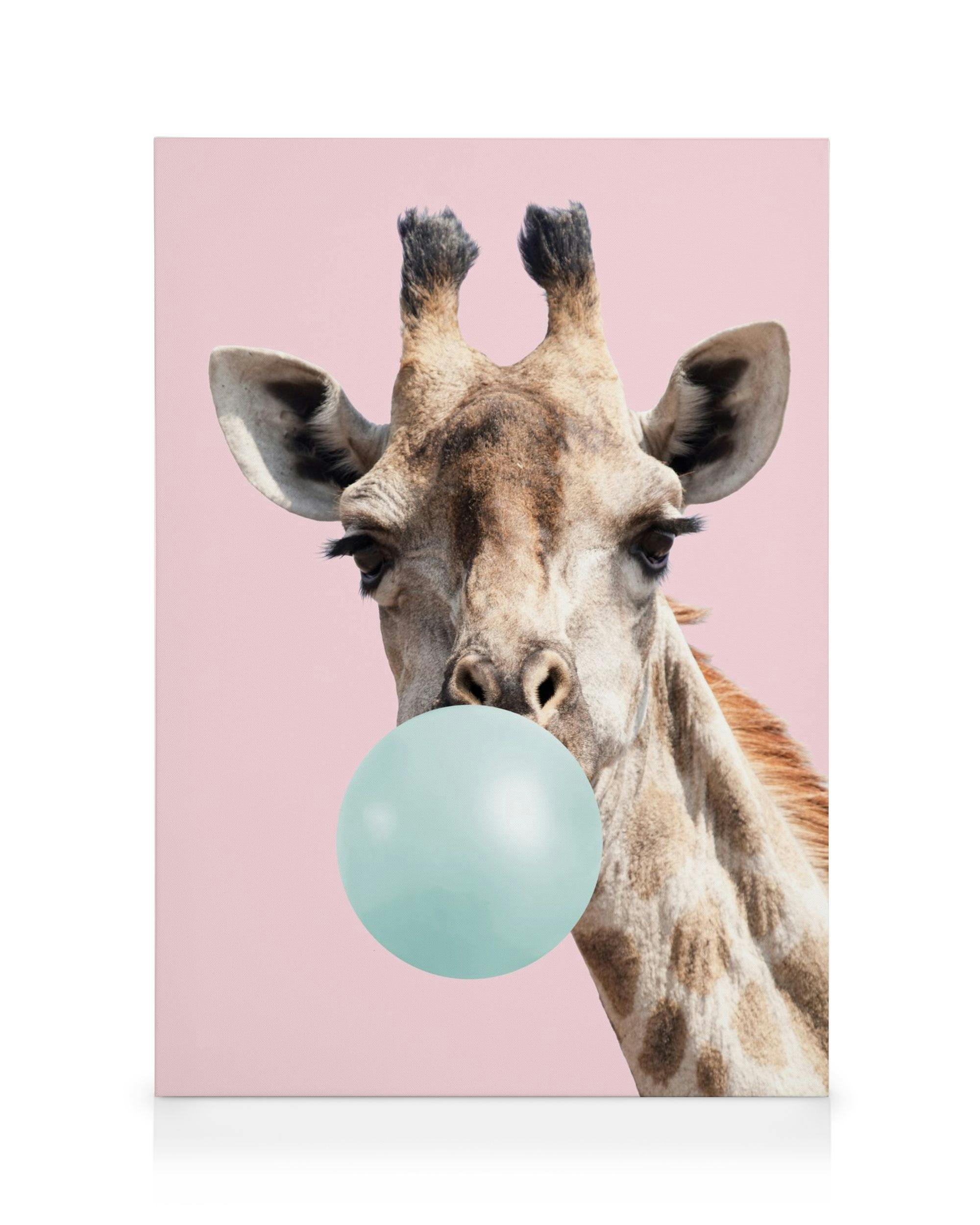 Toile illustration girafe bubblegum, bulle bleue sur fond rose pastel