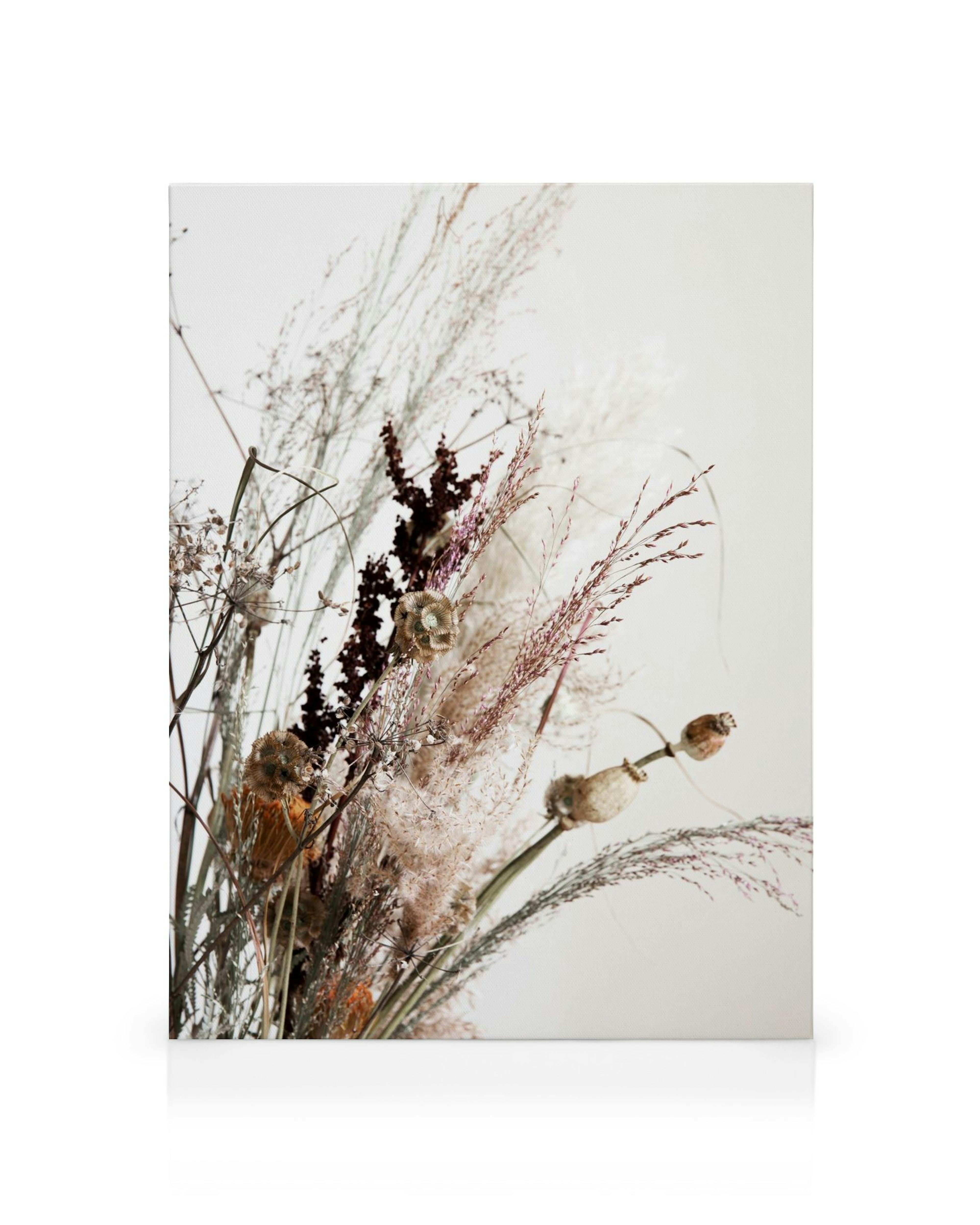 Dried bouquet canvas with a mix of pampas grass, dried poppy seed heads, and other natural elements in earthy tones.