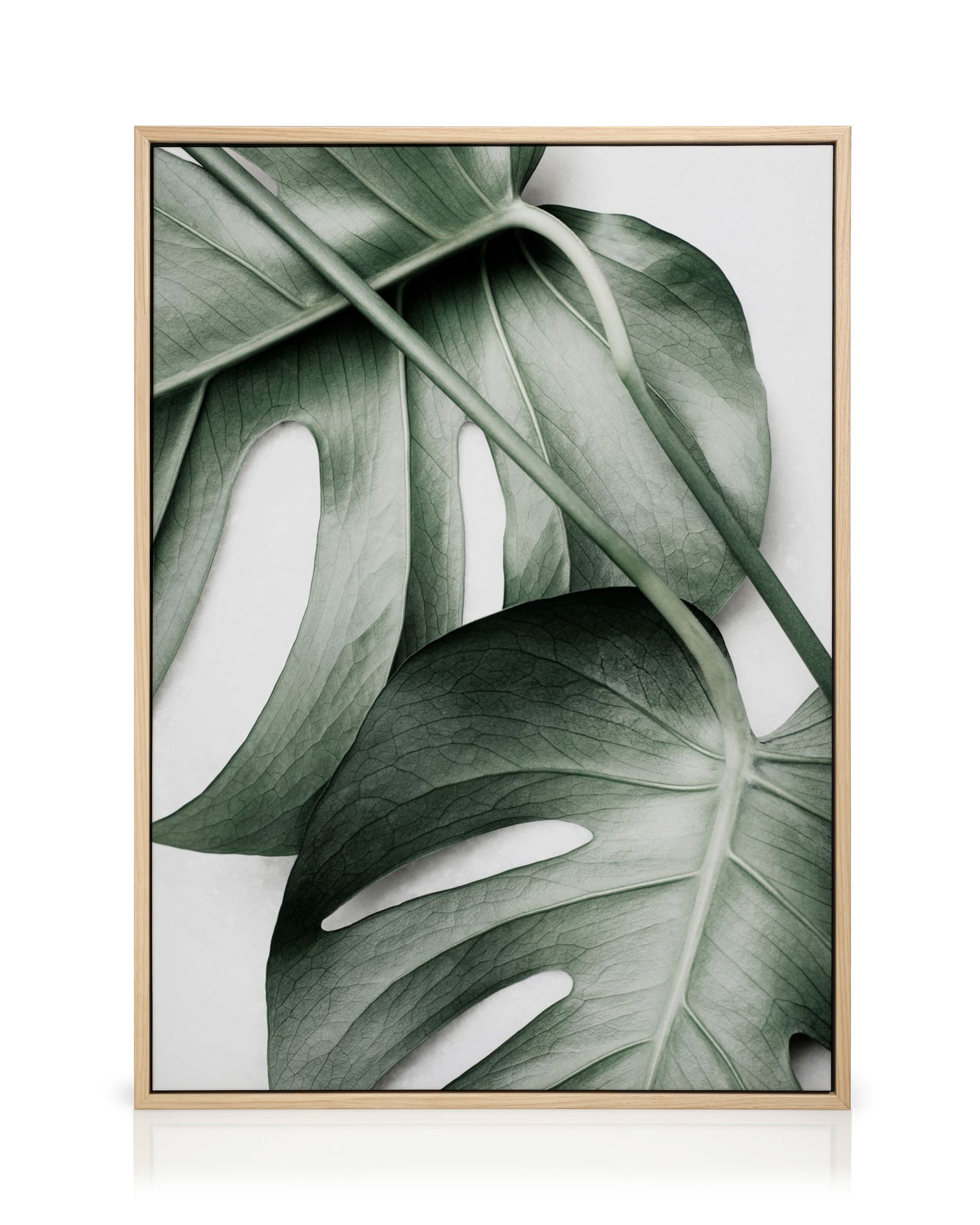 Monstera Pair Canvas print 20" x 28" in