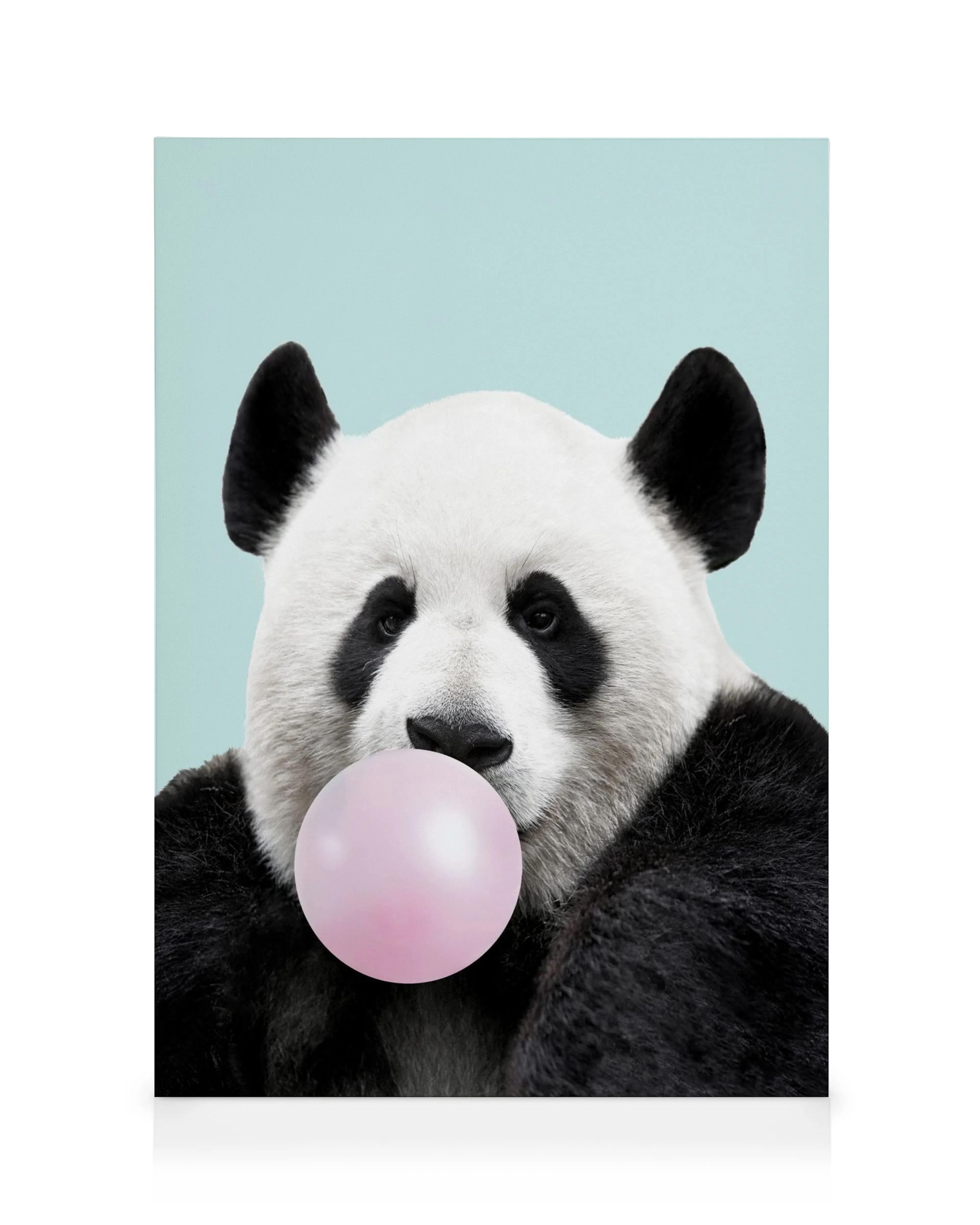 Black and white panda blowing pink bubblegum on a light blue background, modern animal wall art