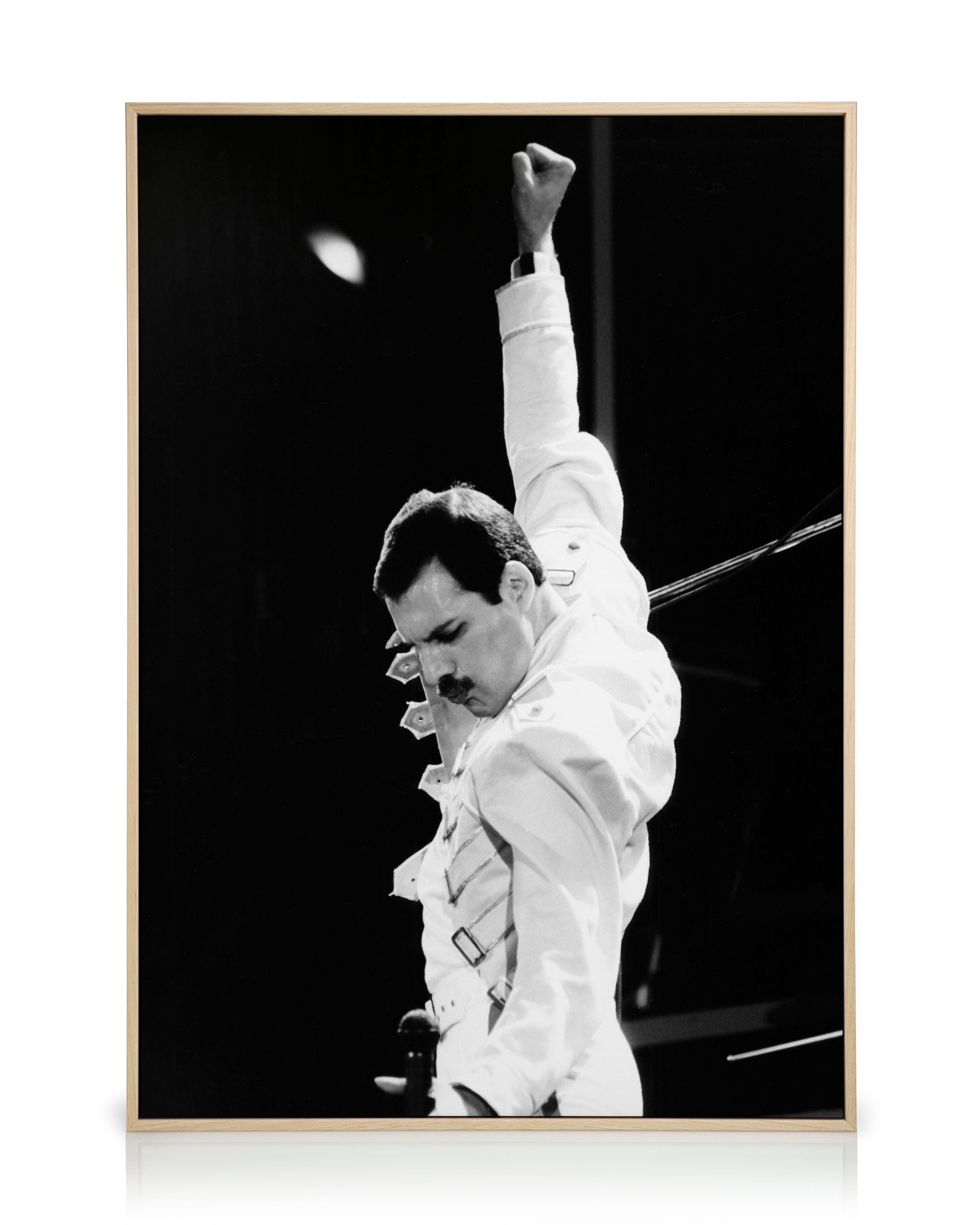 Freddie Mercury 10CD+2DVDセット Freddie Mercury 
