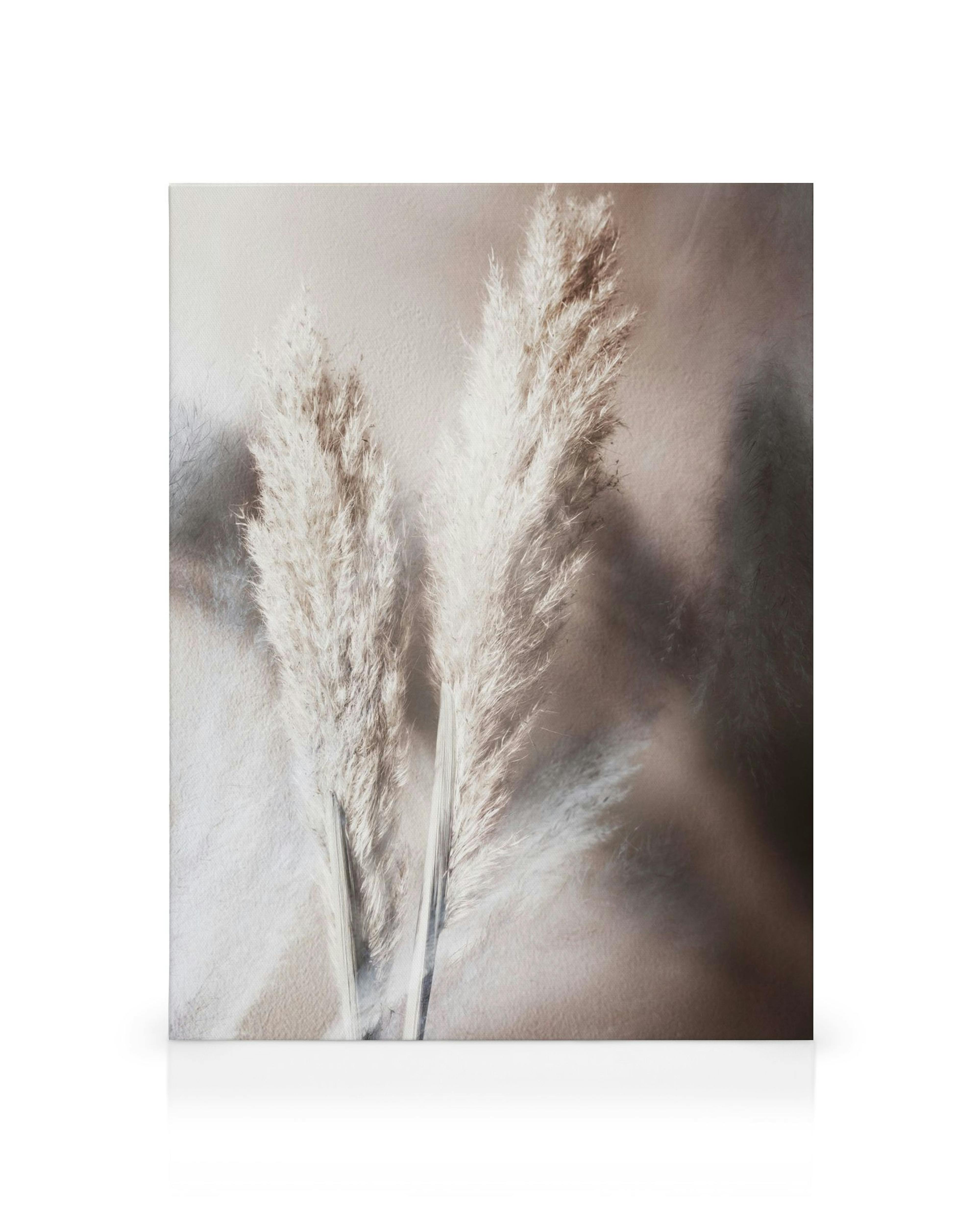 Toile de deux fleurs blanches duveteuses sur fond beige, ambiance sereine pour décoration murale.