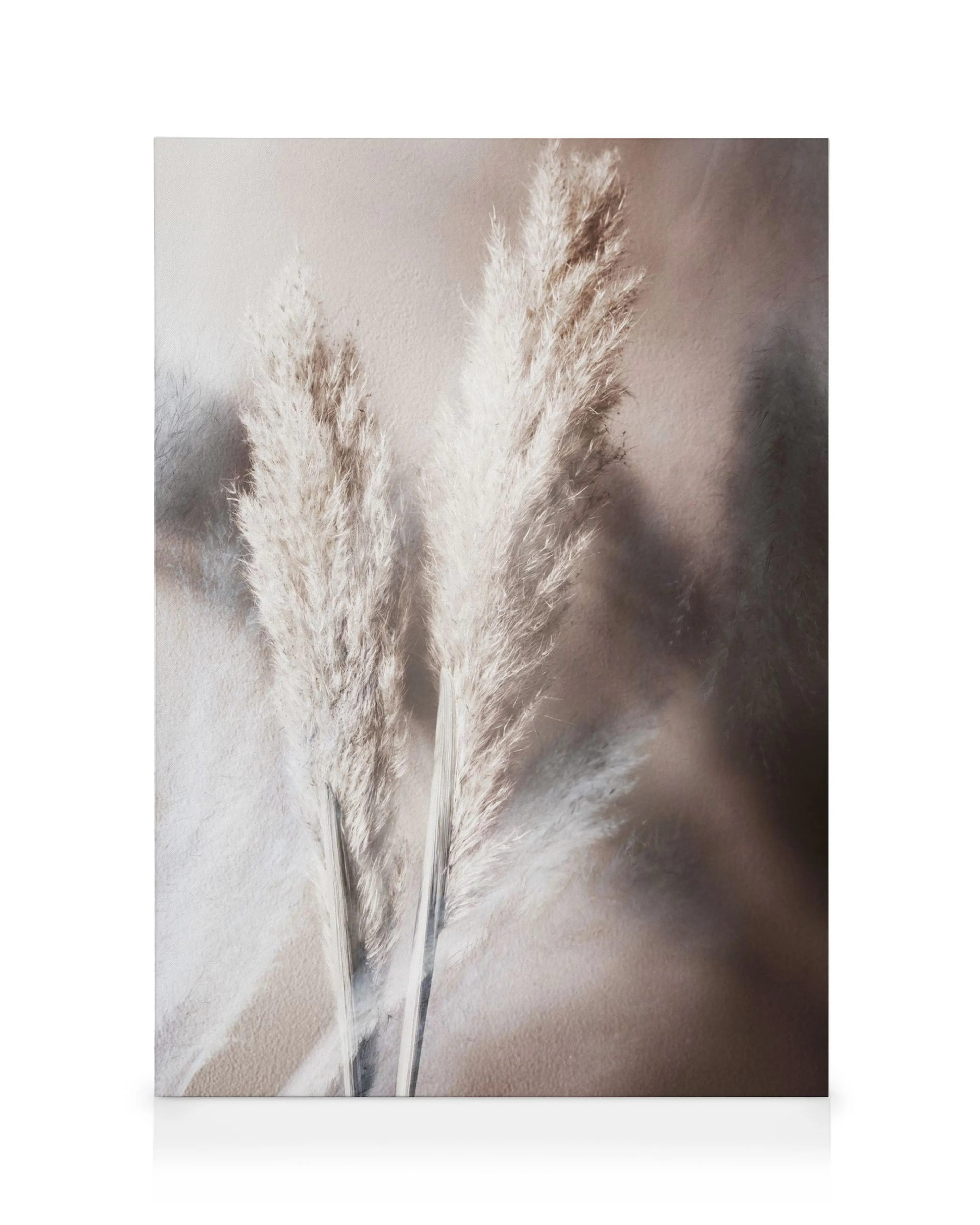 Two fluffy white reed flowers against a soft beige background, creating a serene wall art canvas.