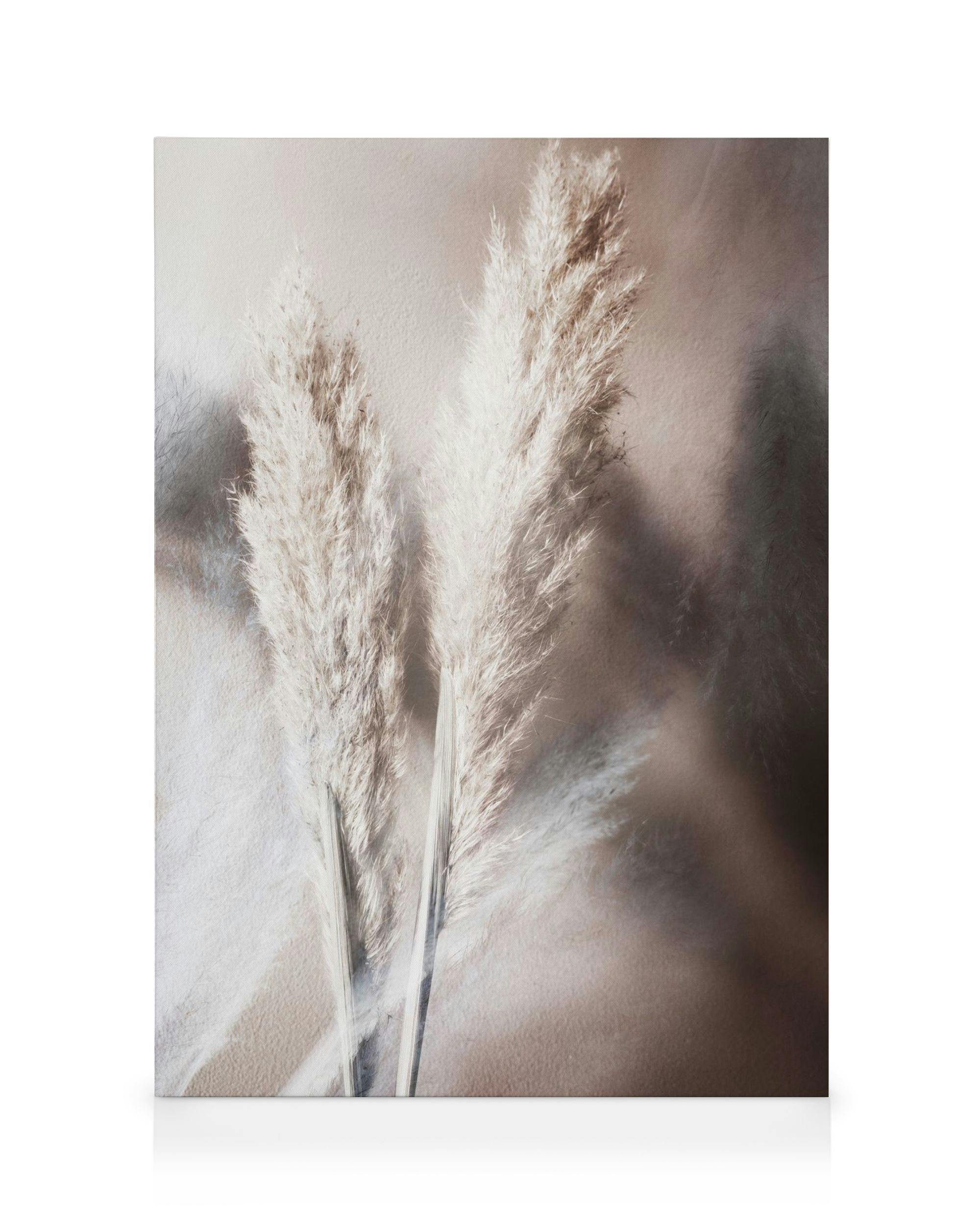 Tela decorativa com duas flores brancas fofas sobre fundo bege, arte serena Abstract Reeds No1, ideal para parede de quadros.