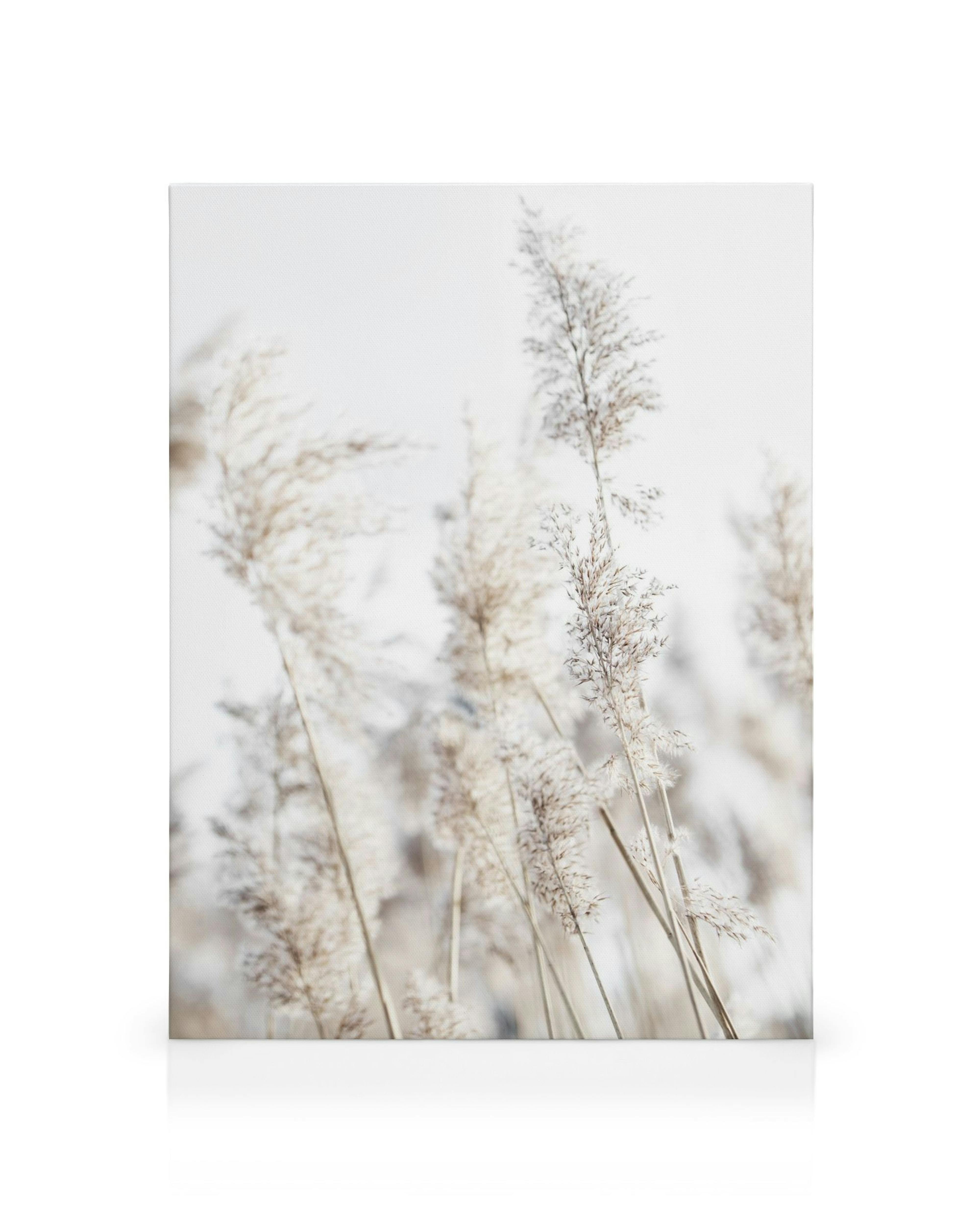 Beige reeds swaying in the wind against a light blue sky, a nature print canvas for mindful home decor.