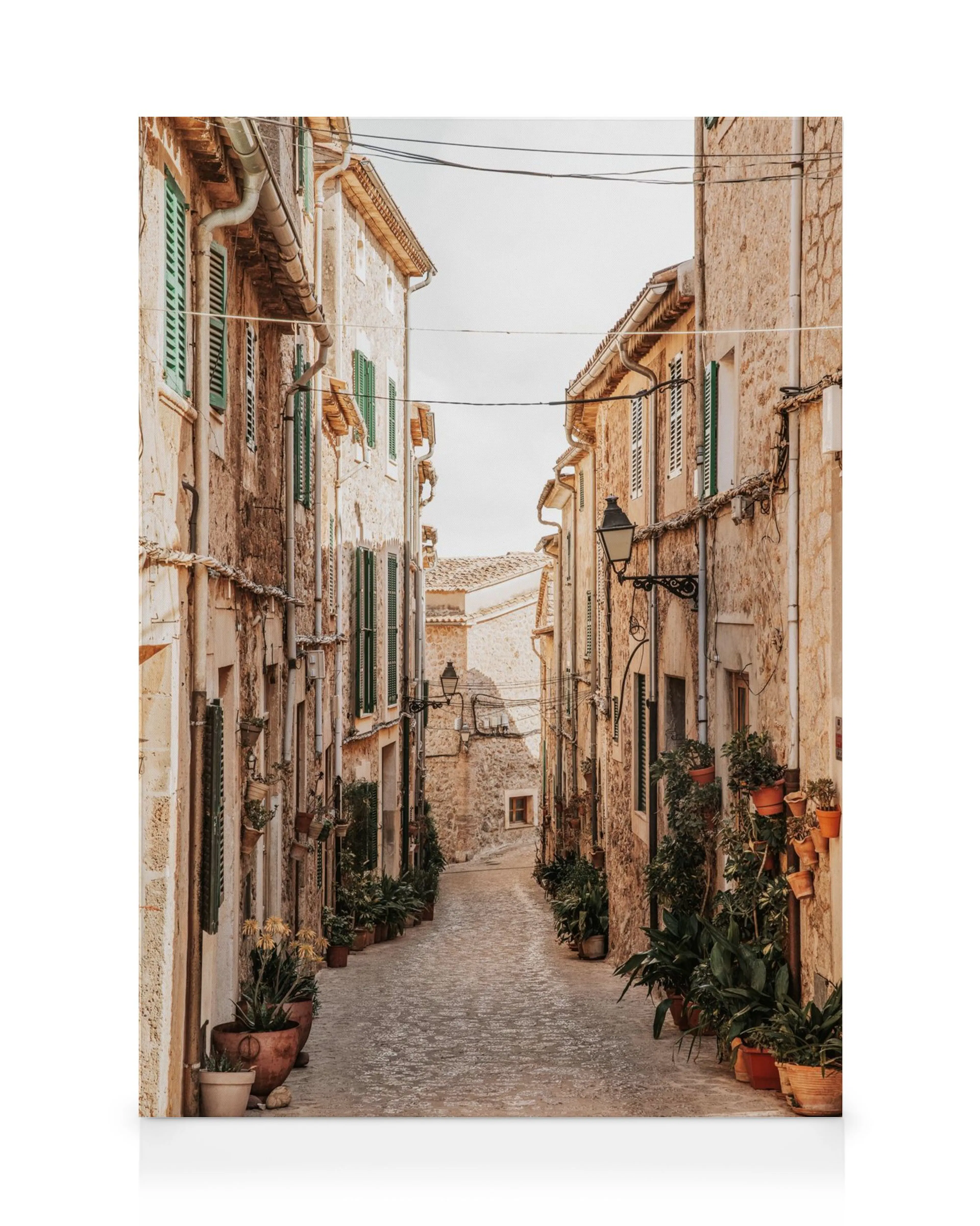 Lienzo de una calle empedrada en un pueblo mediterráneo con casas de piedra, persianas verdes y macetas con plantas.