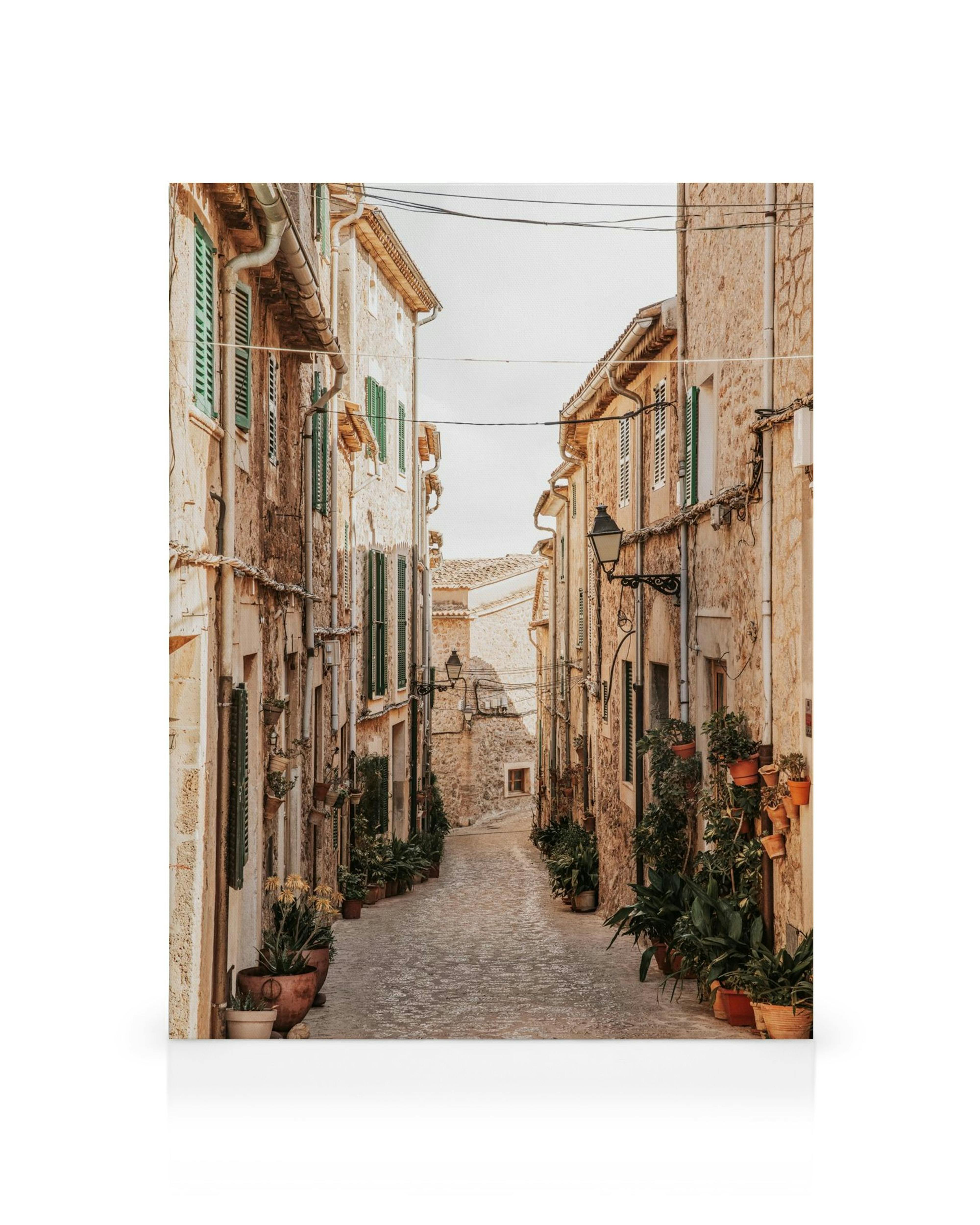 Leinwandbild einer malerischen Gasse mit alten Steingebäuden, grünen Fensterläden und Topfpflanzen.